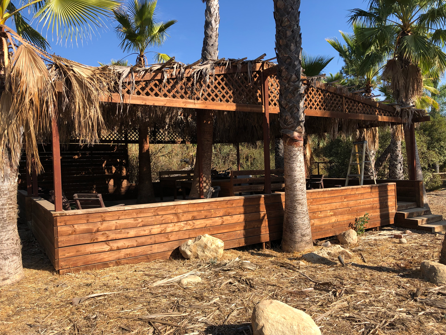 Wooden gazebo structure with palm trees and ladder