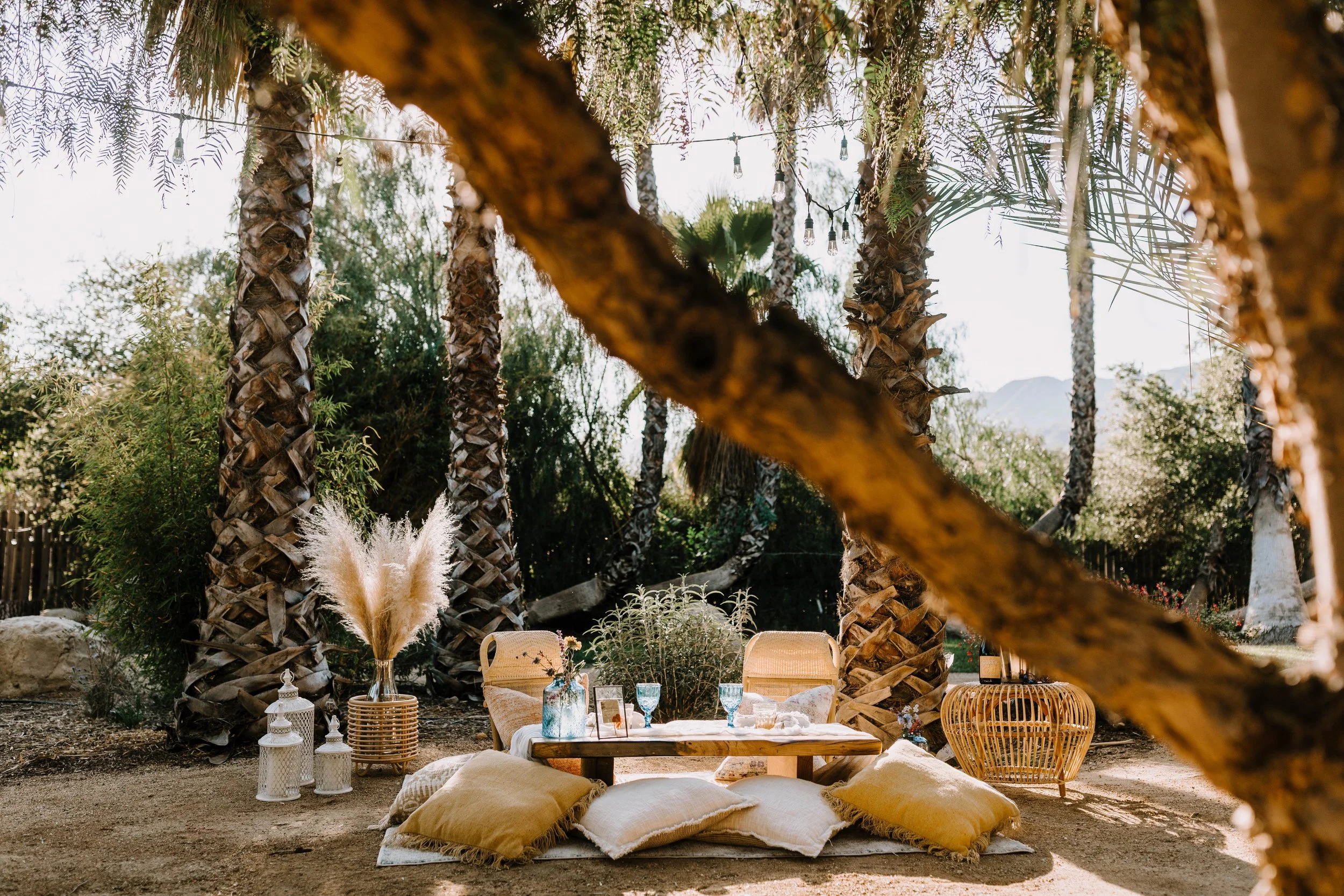 Outdoor picnic setup with pillows, low wooden table, blue glassware, wicker baskets, and decorative items under palm trees.