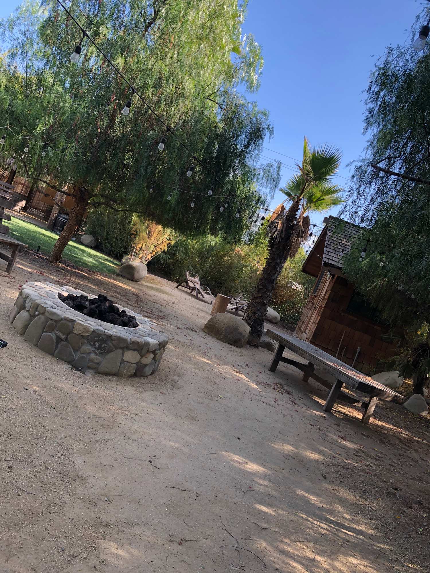 Outdoor area with fire pit, wooden benches, string lights, trees, and a rustic building.