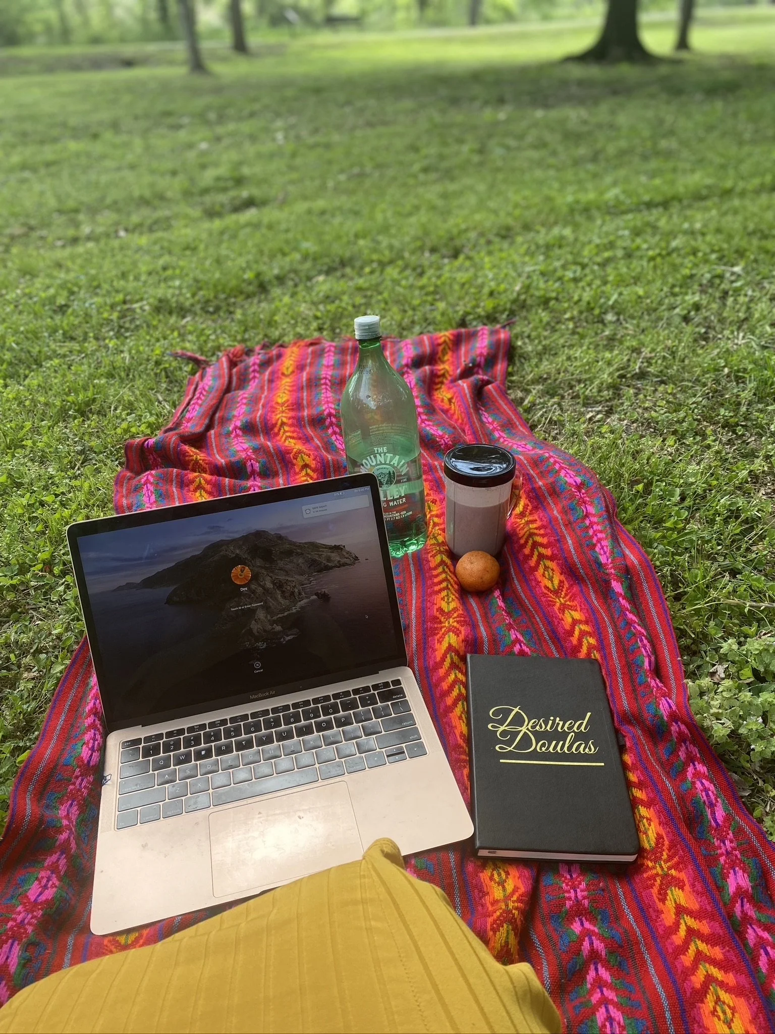 Outdoor setup with colorful blanket, laptop, green bottle, coffee cup, notebook with 'Desired Doulas' text, orange fruit, and green grass background.