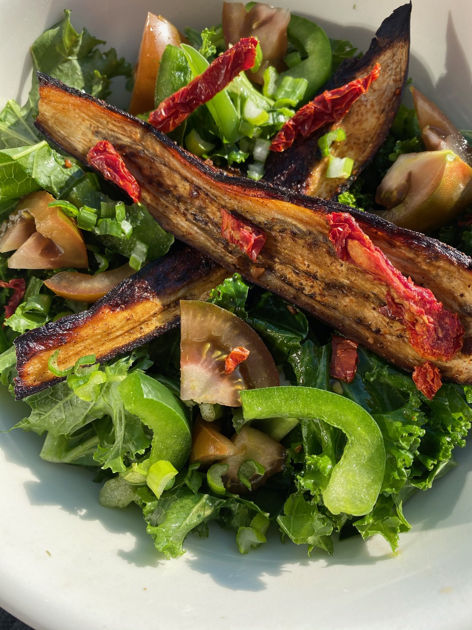 Bowl of salad with grilled eggplant, kale, bell peppers, tomatoes, and sun-dried tomatoes.