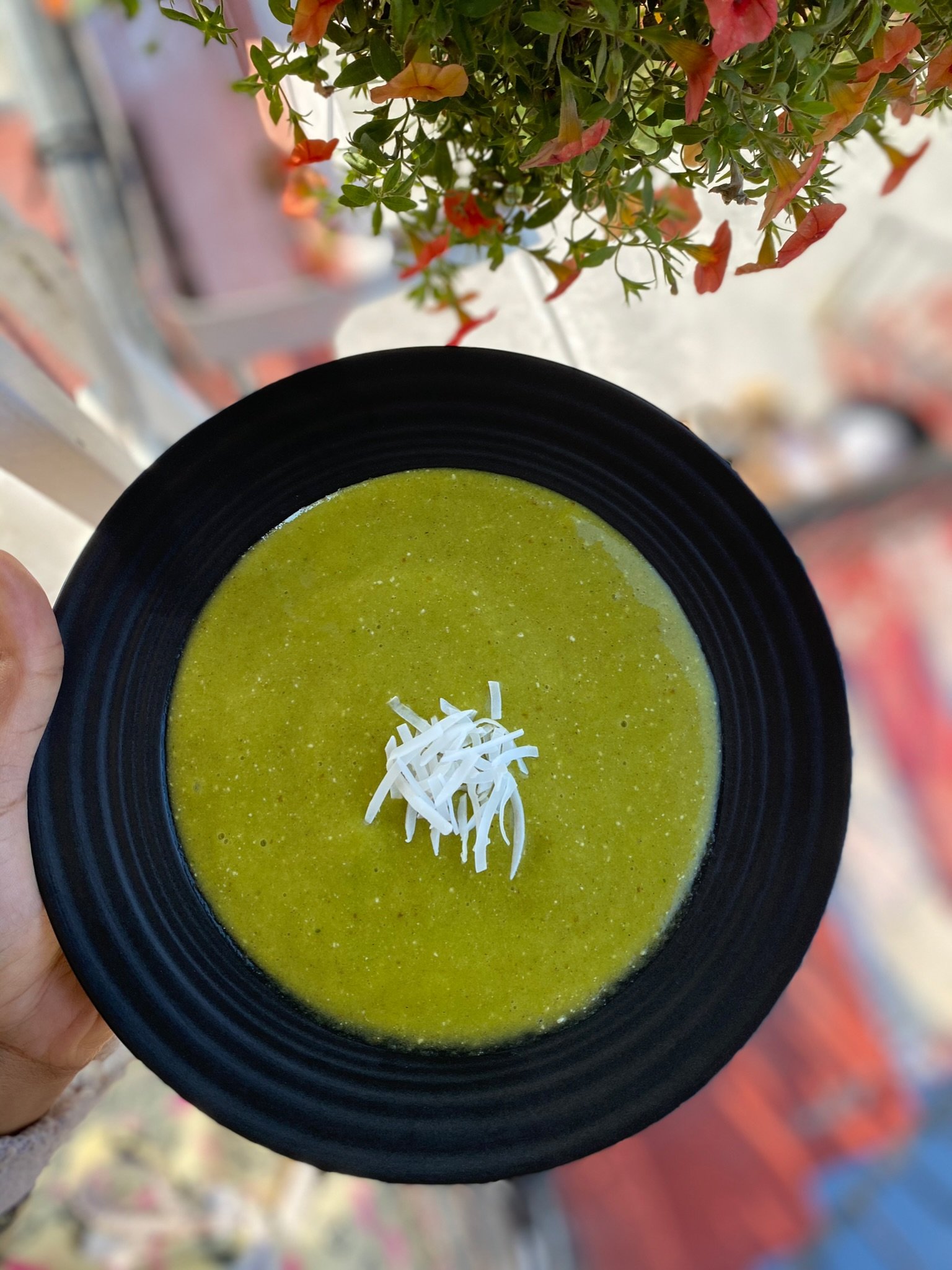 Green soup in a black bowl garnished with white coconut shreds, held outdoors next to flowering plants.