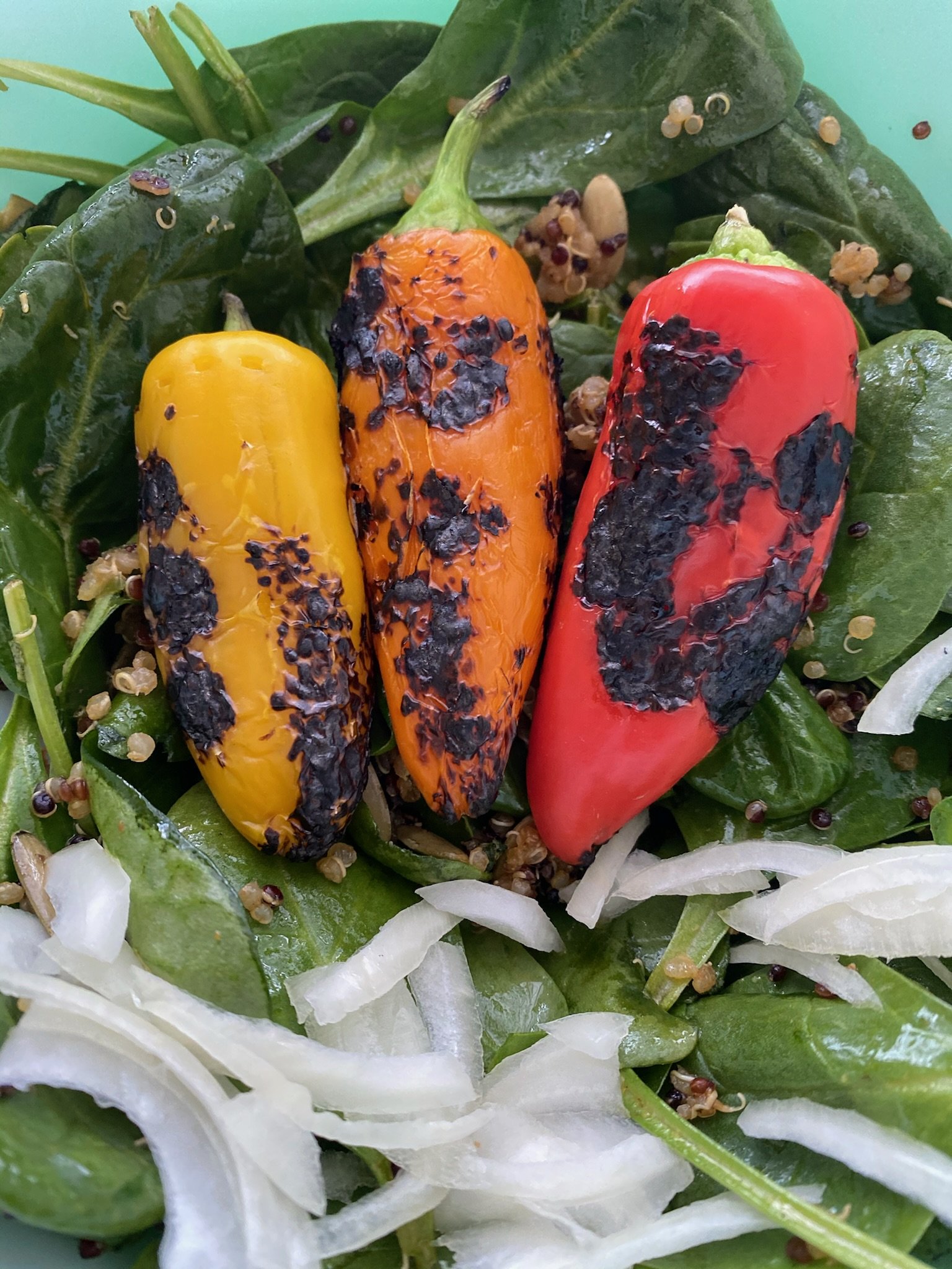 Three charred bell peppers in yellow, orange, and red on a bed of spinach and sliced onion.