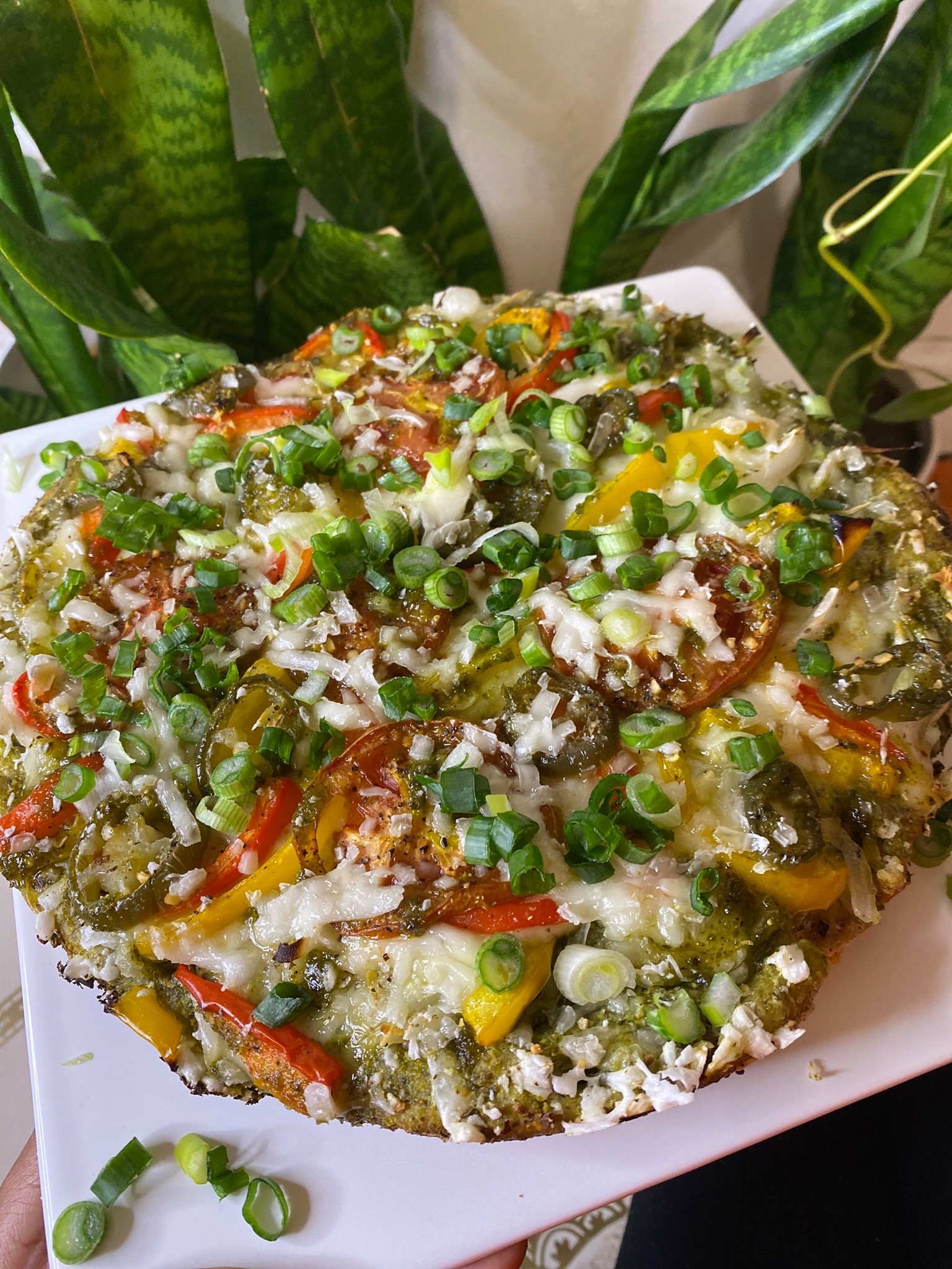 Vegetable pizza with cheese and green onion toppings on a white plate, surrounded by green plants.