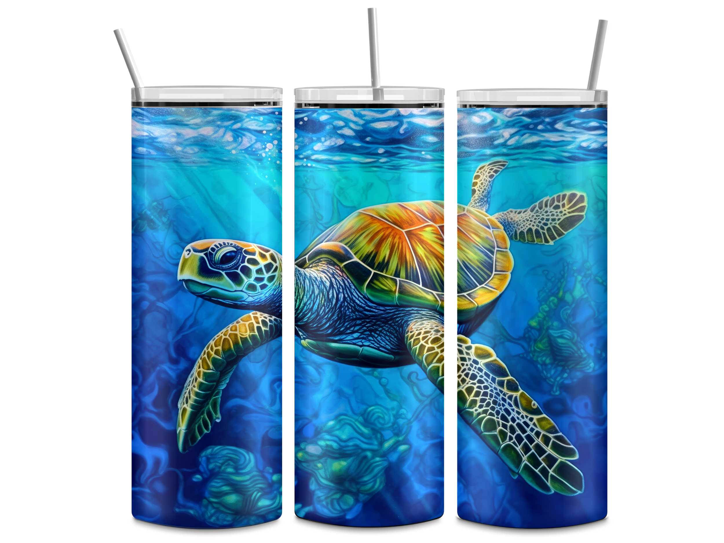3DTurtleMockup.png
