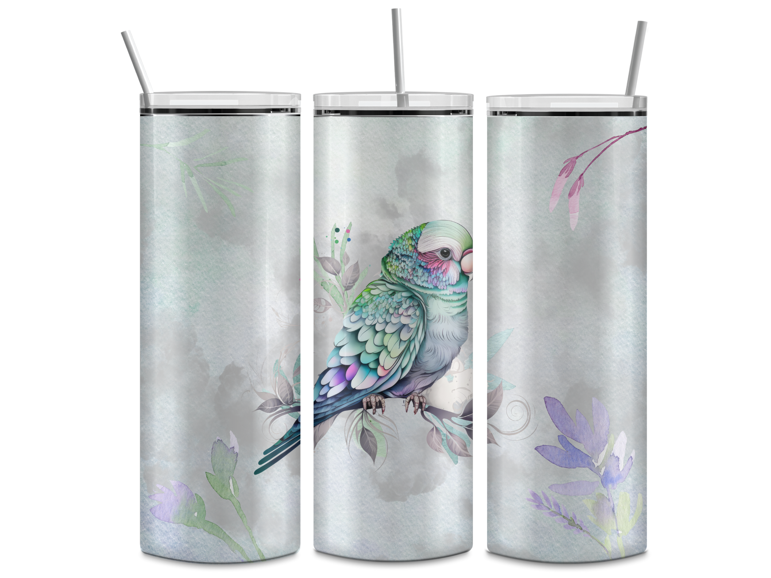 derbyan parakeet mockup.png
