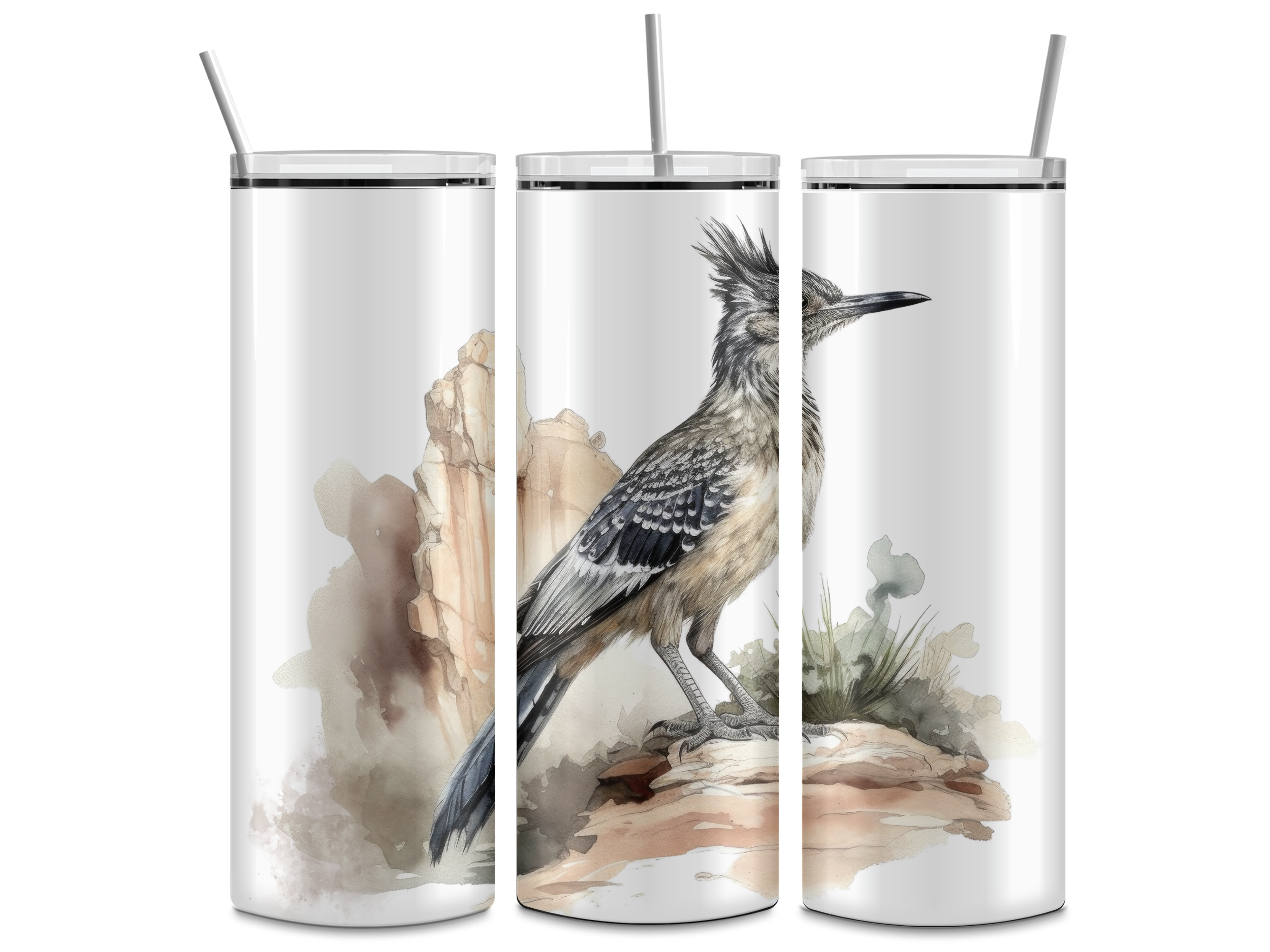 RoadrunnerMockup.png