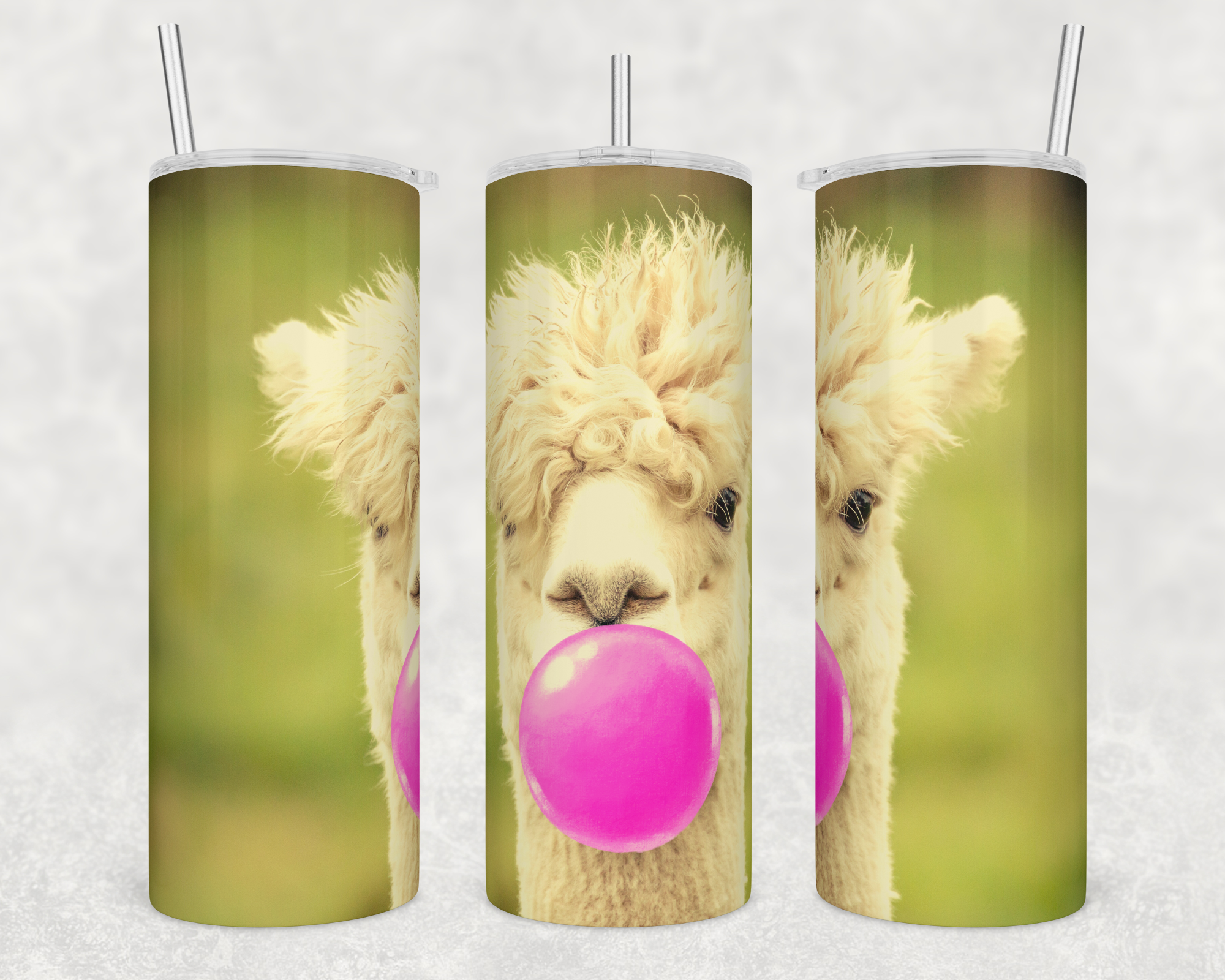 alpaca1mock.png