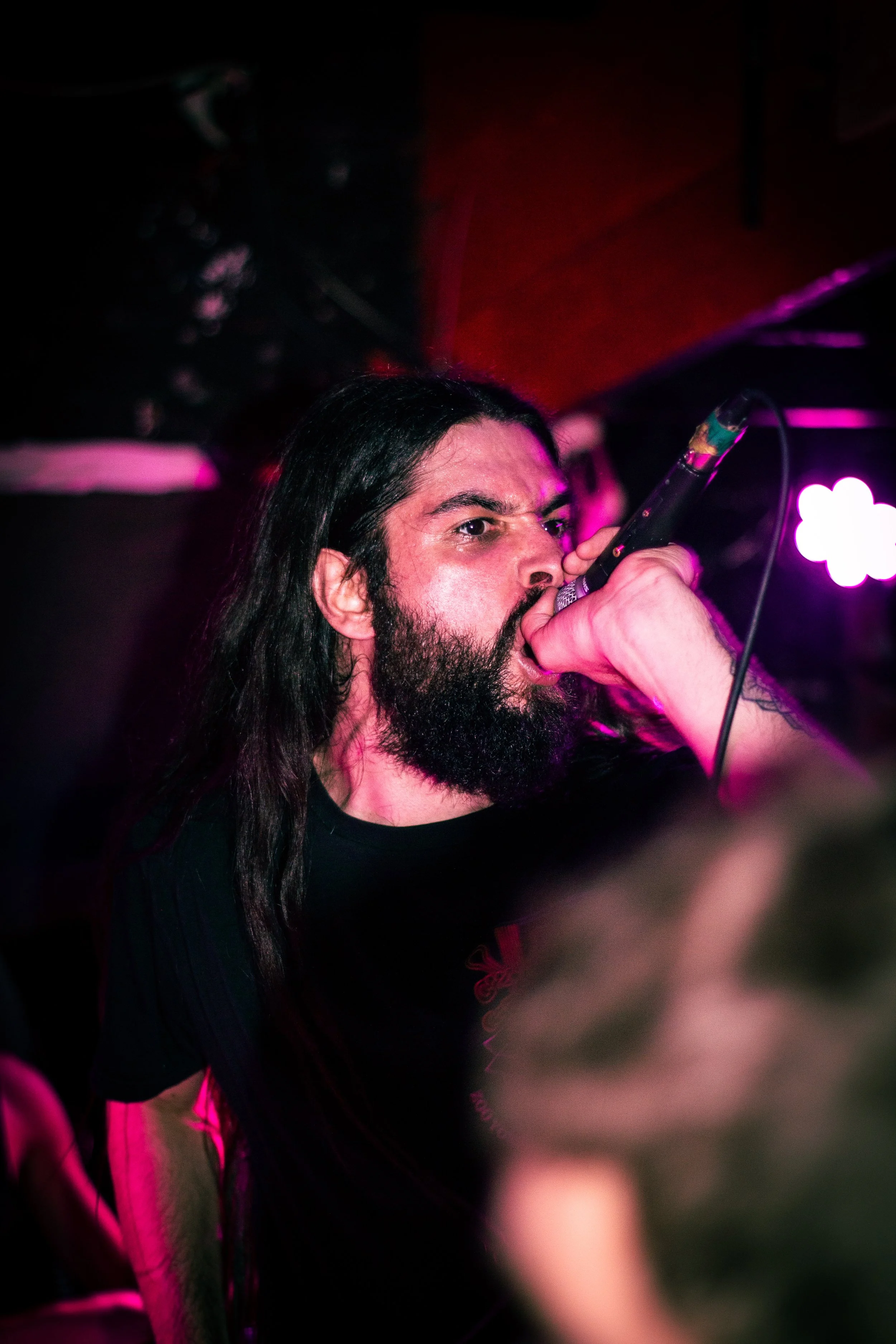 A man with long hair and a beard singing into a microphone during a performance in a dark setting with pink and purple stage lighting.