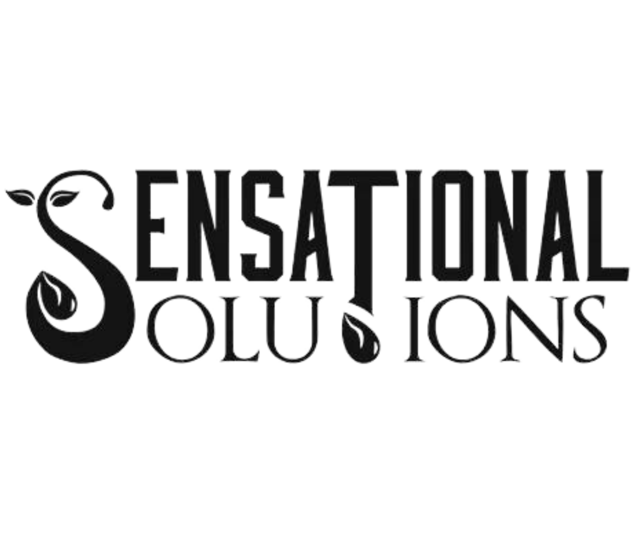  Sensational Solutions Logo 