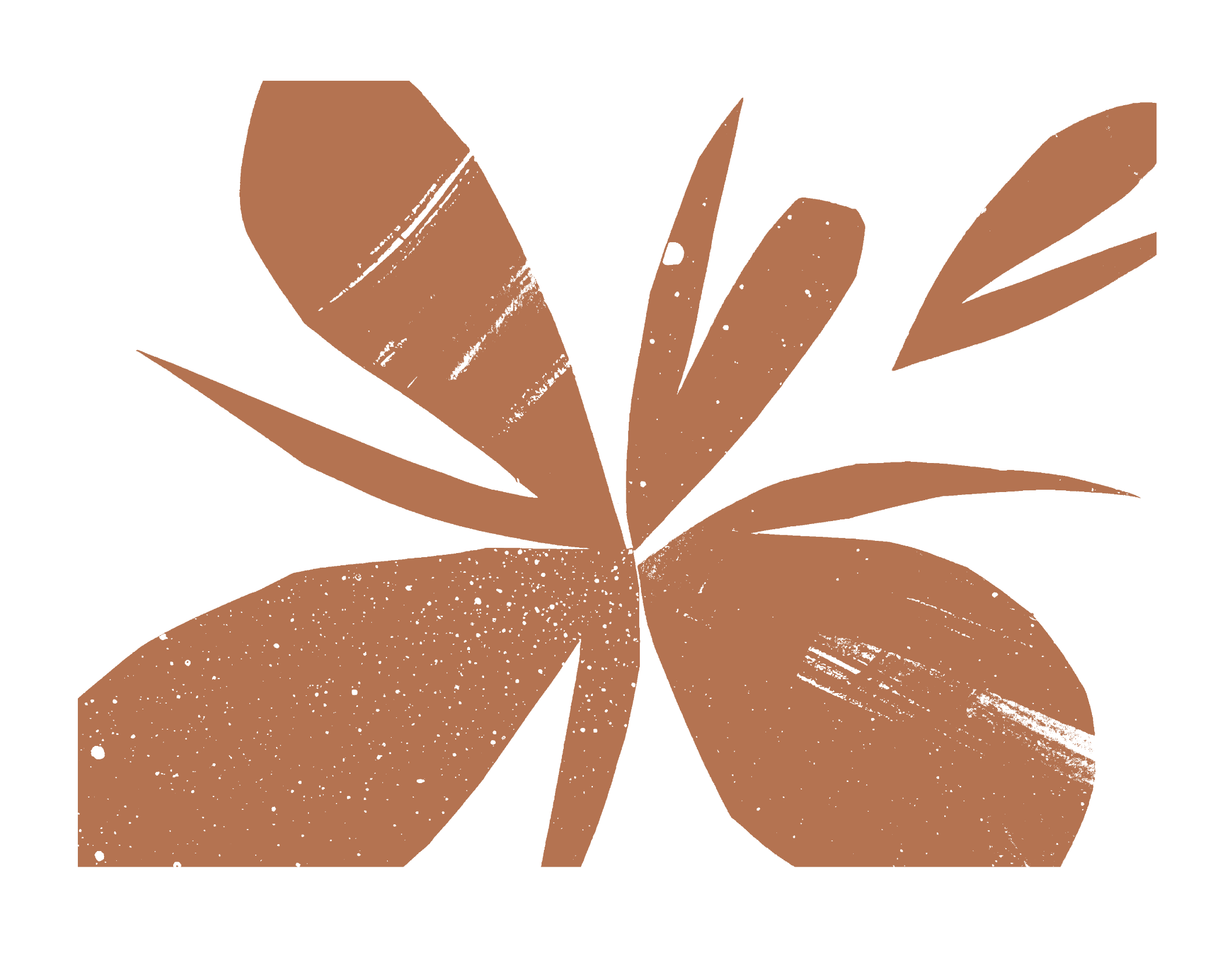 Screenshot 2026-03-09 at 9.59.25 AM.png