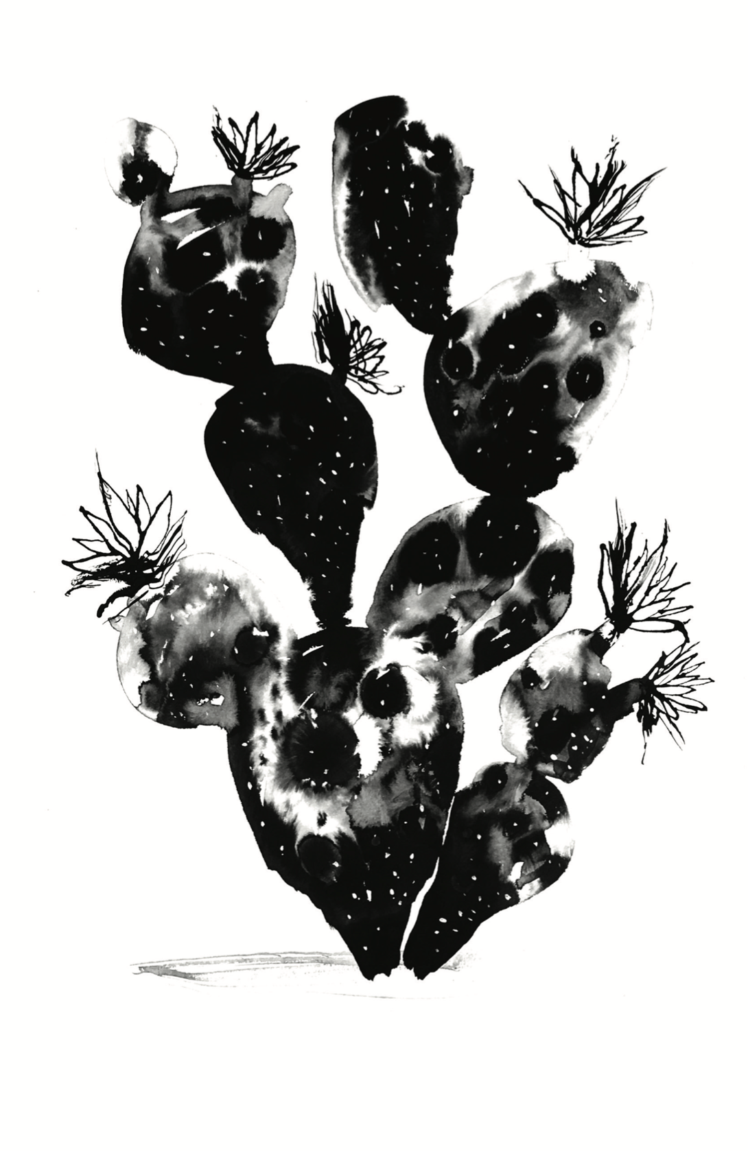 Screenshot 2026-04-03 at 10.46.55 AM.png