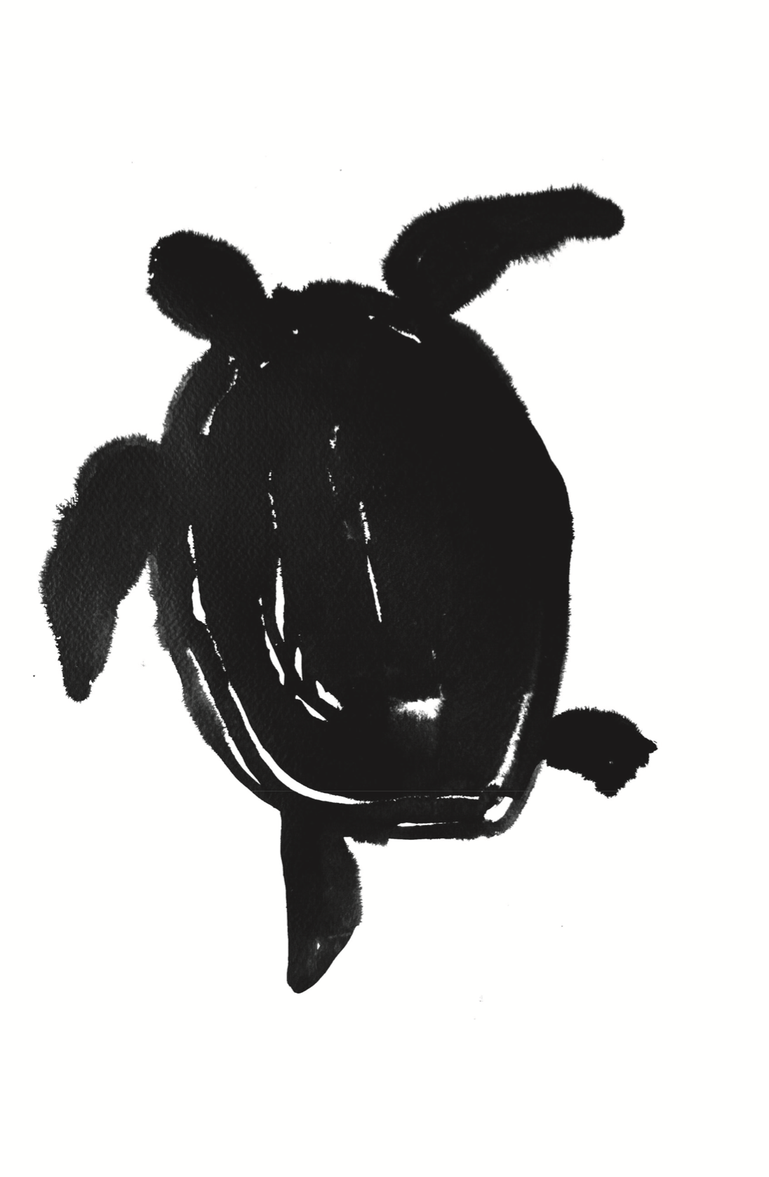 Screenshot 2026-04-03 at 10.46.11 AM.png