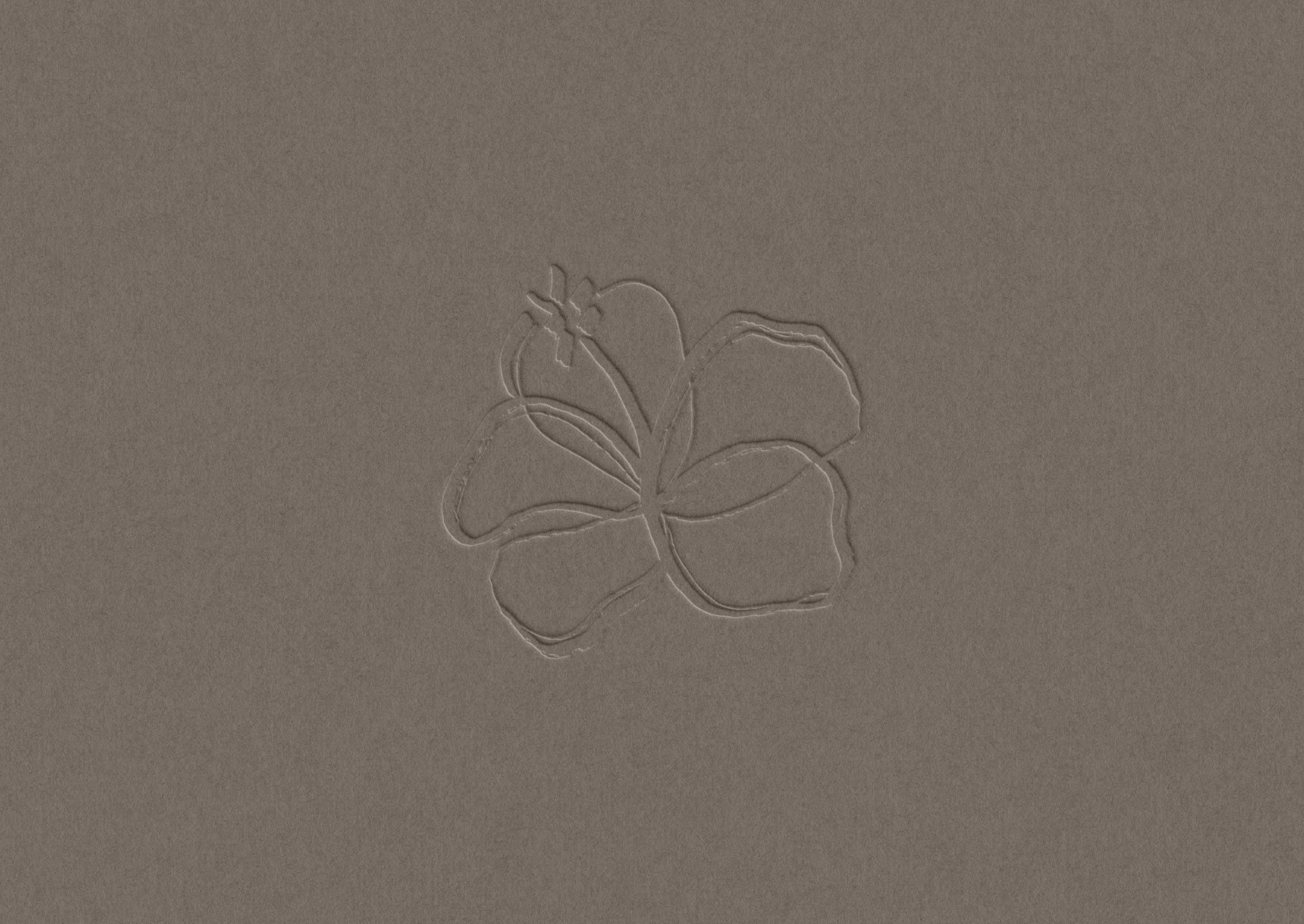 Adoja Kittoe by OneTen The Studio 8.png
