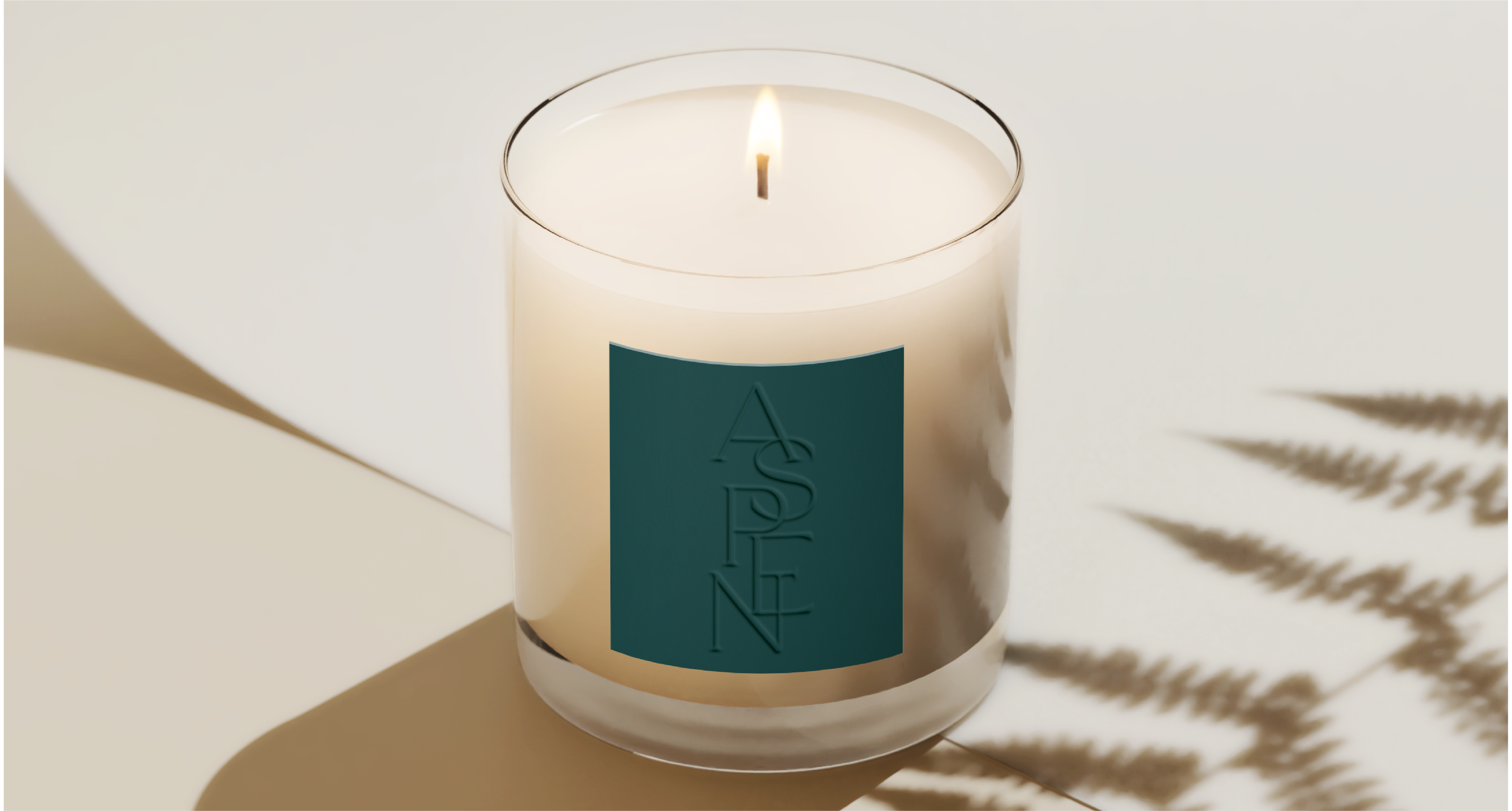 Aspen_Behance Portfolio_OneTen_Mock-12.png