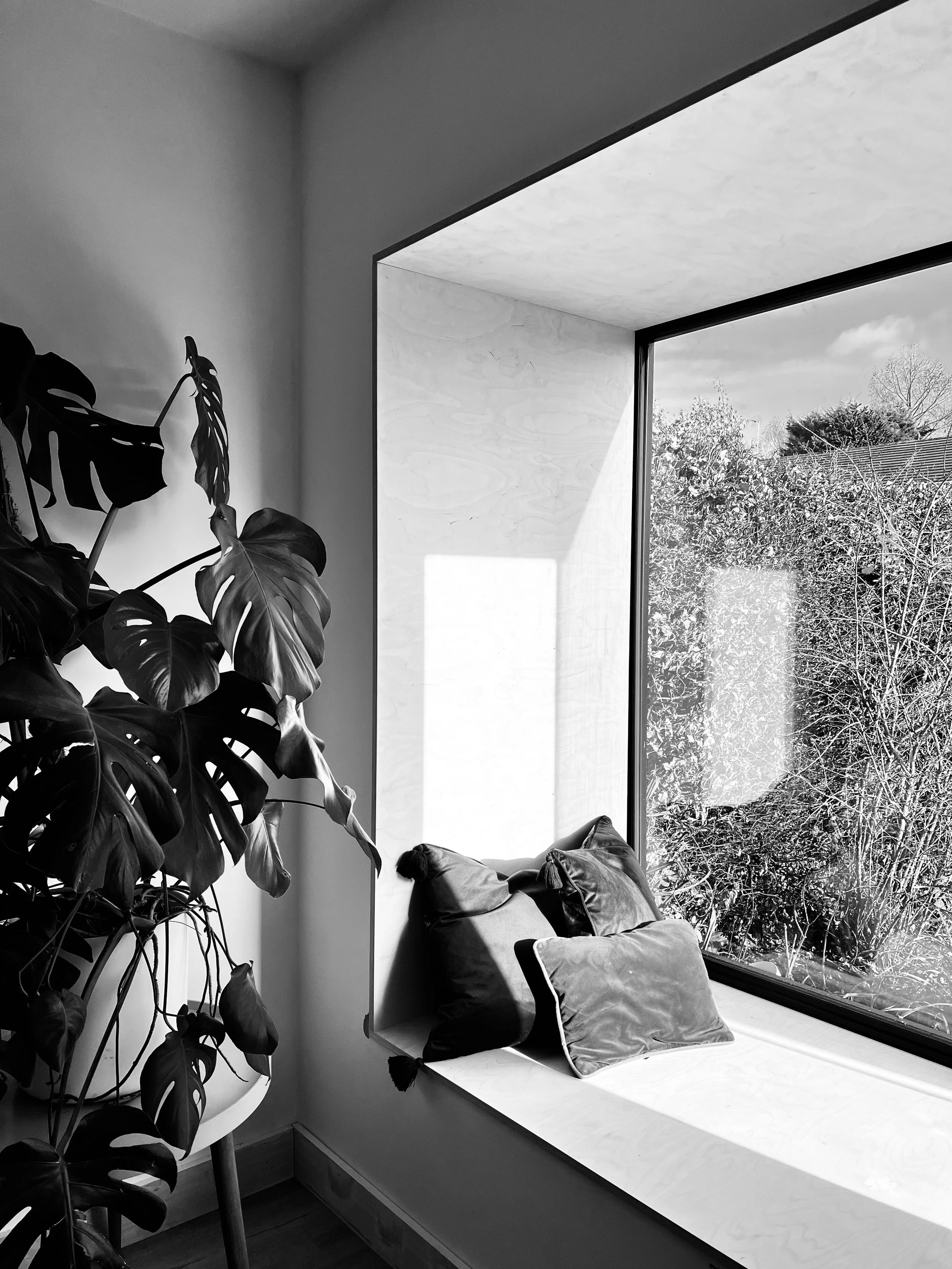 Black and white interior room with a large window; a potted plant with large leaves on the left; window seat with cushions and view of trees outside.