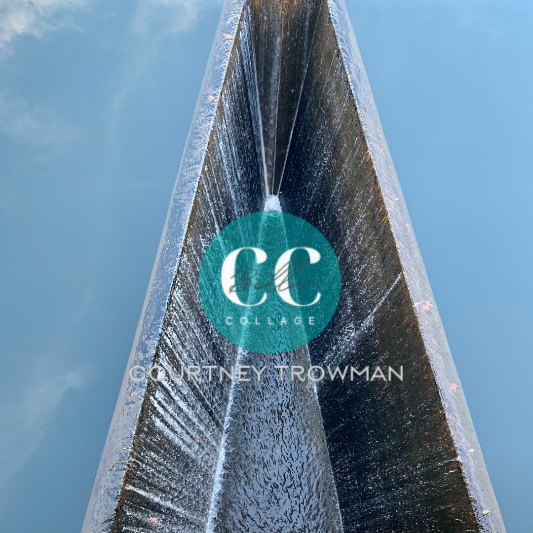Untitled design(3).png