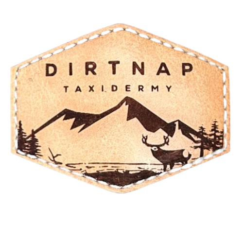 DirtNapTaxidermy