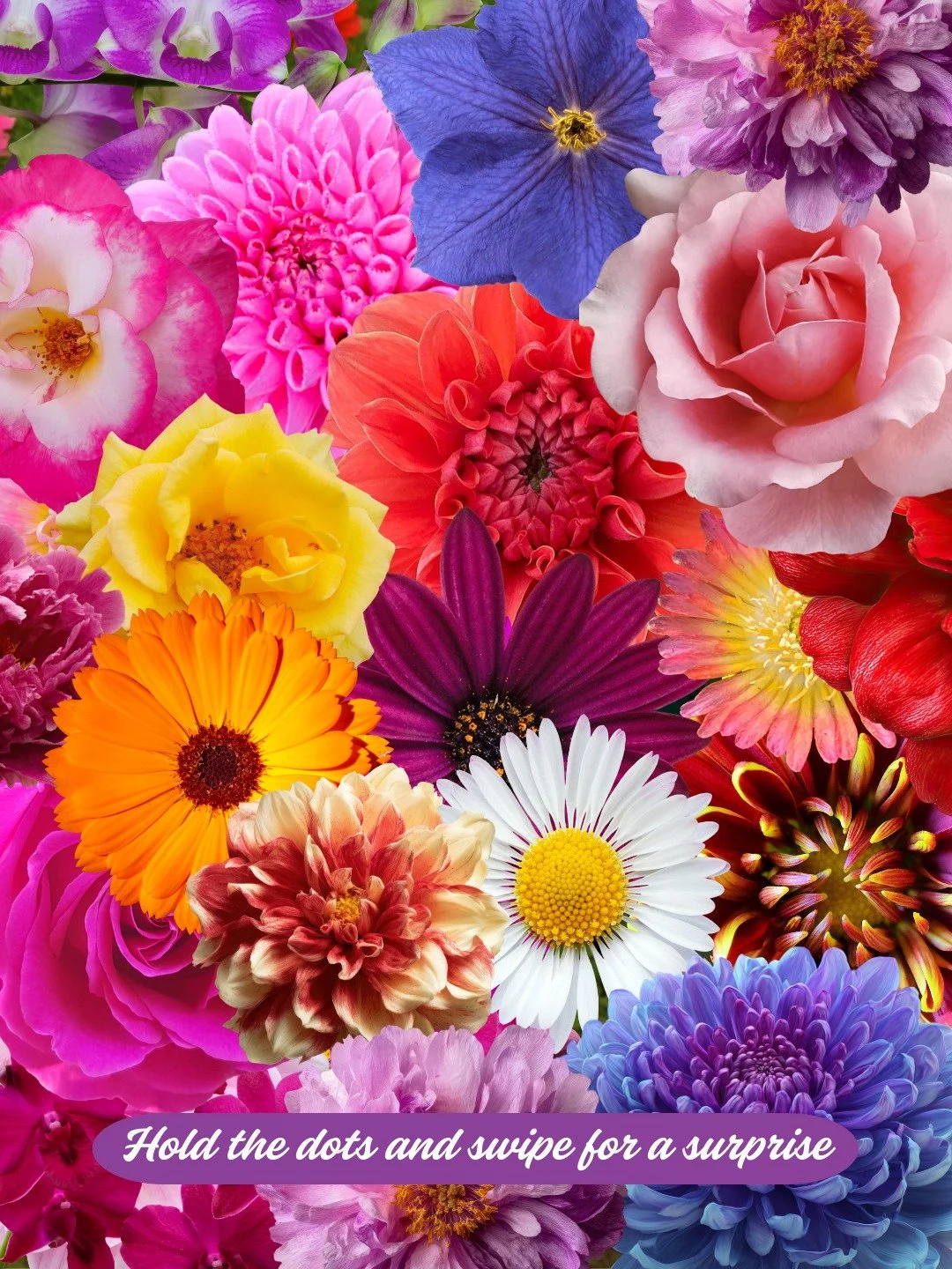 Hold the dots and swipe for a Spring Surprise 🌺💐
Fresh flavors, bright vibes, and a lineup made for sunny days&mdash;pick your pour and sip into the season with Seven Skies. ✨