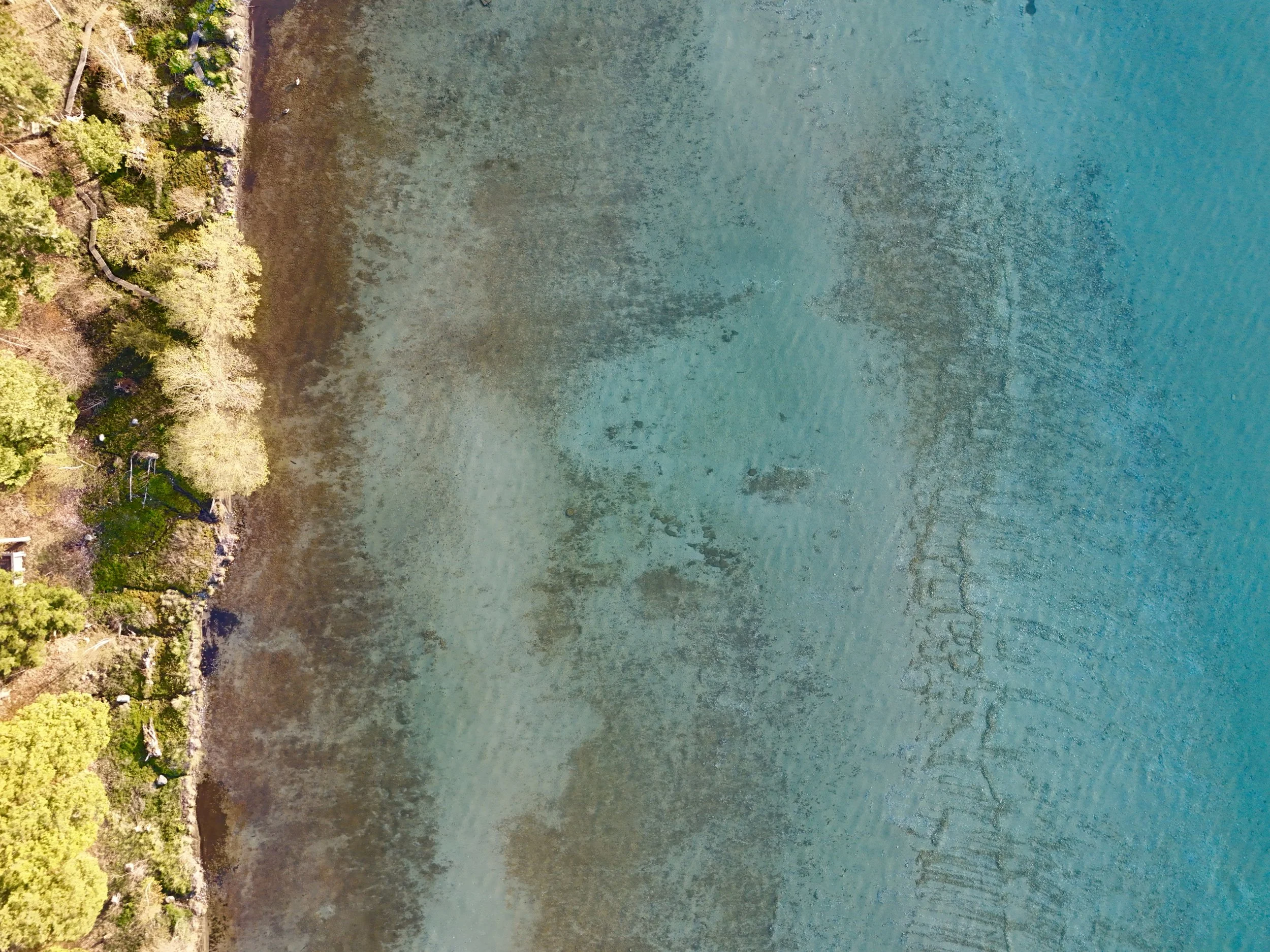 dji_fly_20260514_202206_0090_1778804739827_photo.jpg