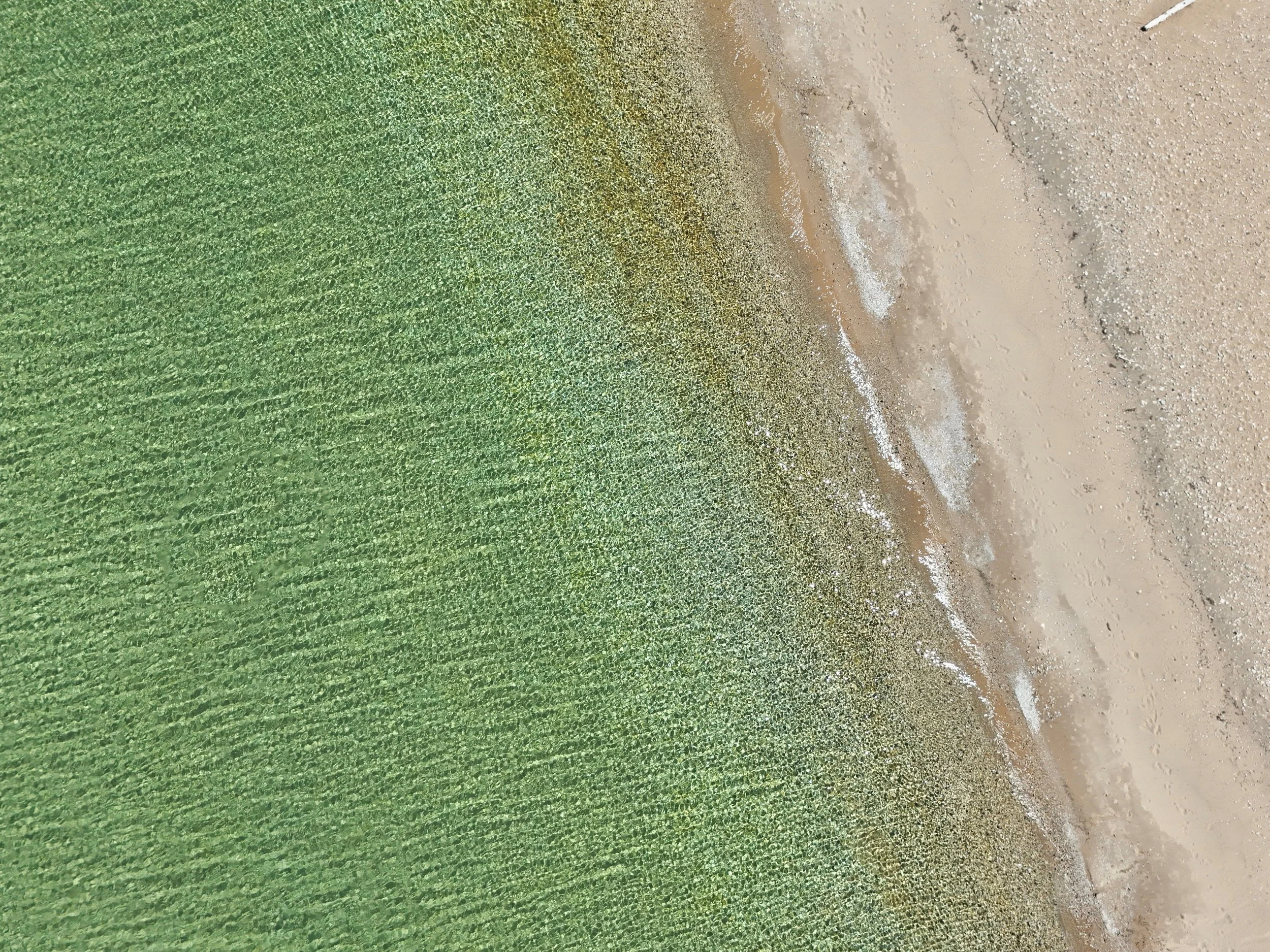 Drone 5.jpg