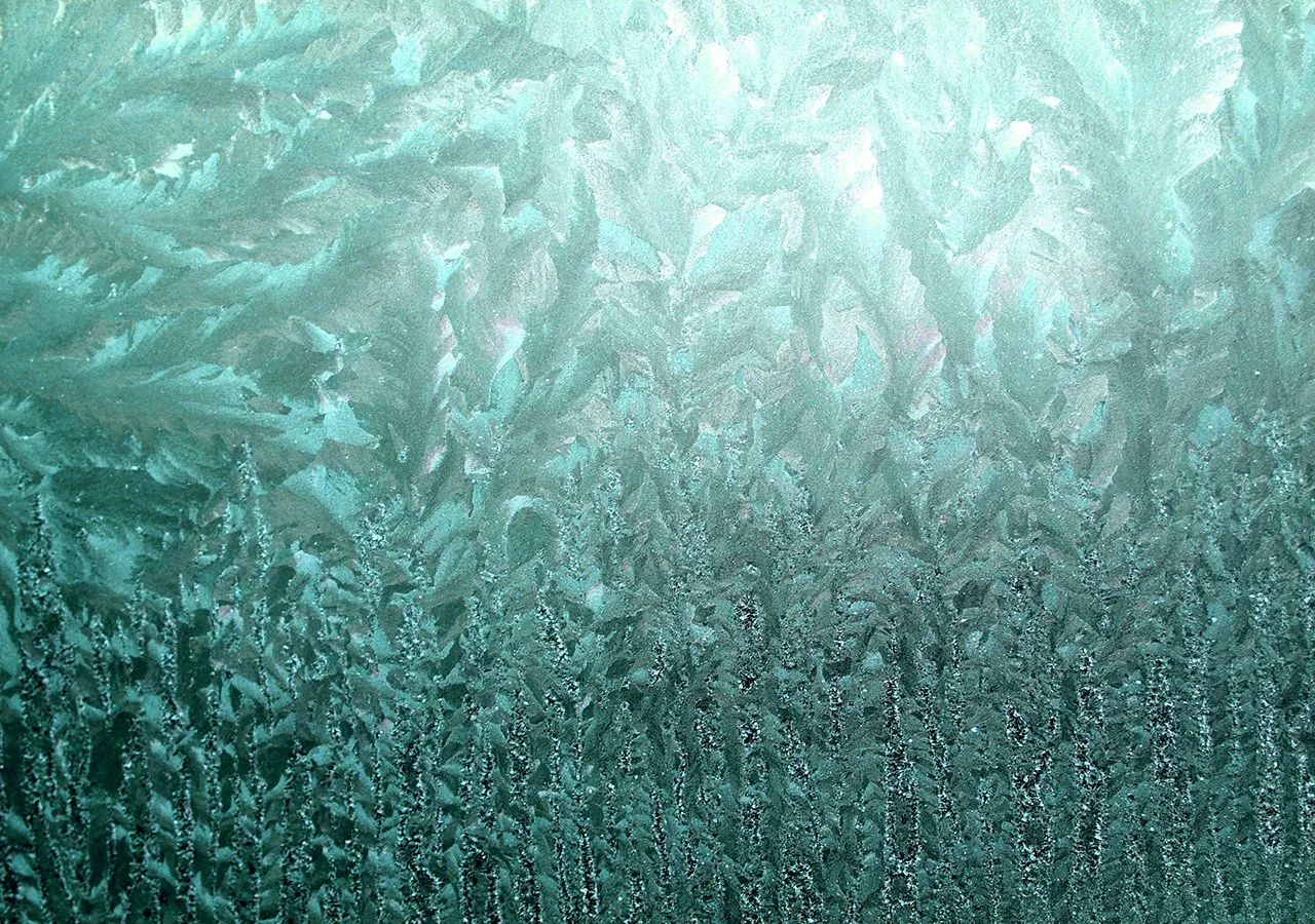 Frost in Green.jpg