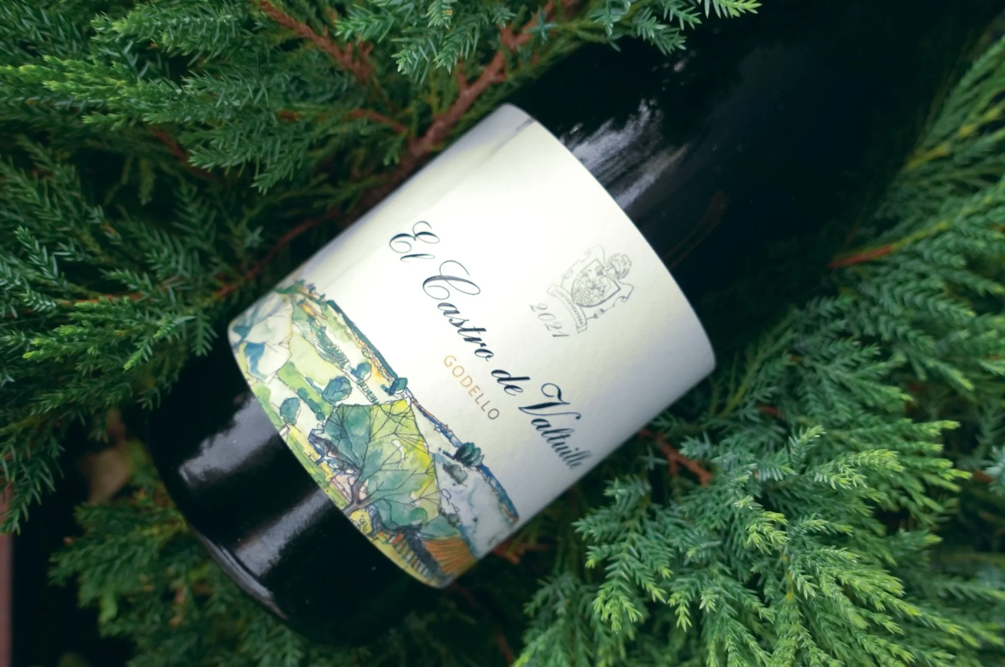 Wine Wednesday! We are excited to feature the El Castro de Valtuille Godello as our latest introduction! 

Made from 100% Godello by the historic Perez family winery &amp; esteemed winemaker Raul Perez in northern Spain, this white wine carries both 