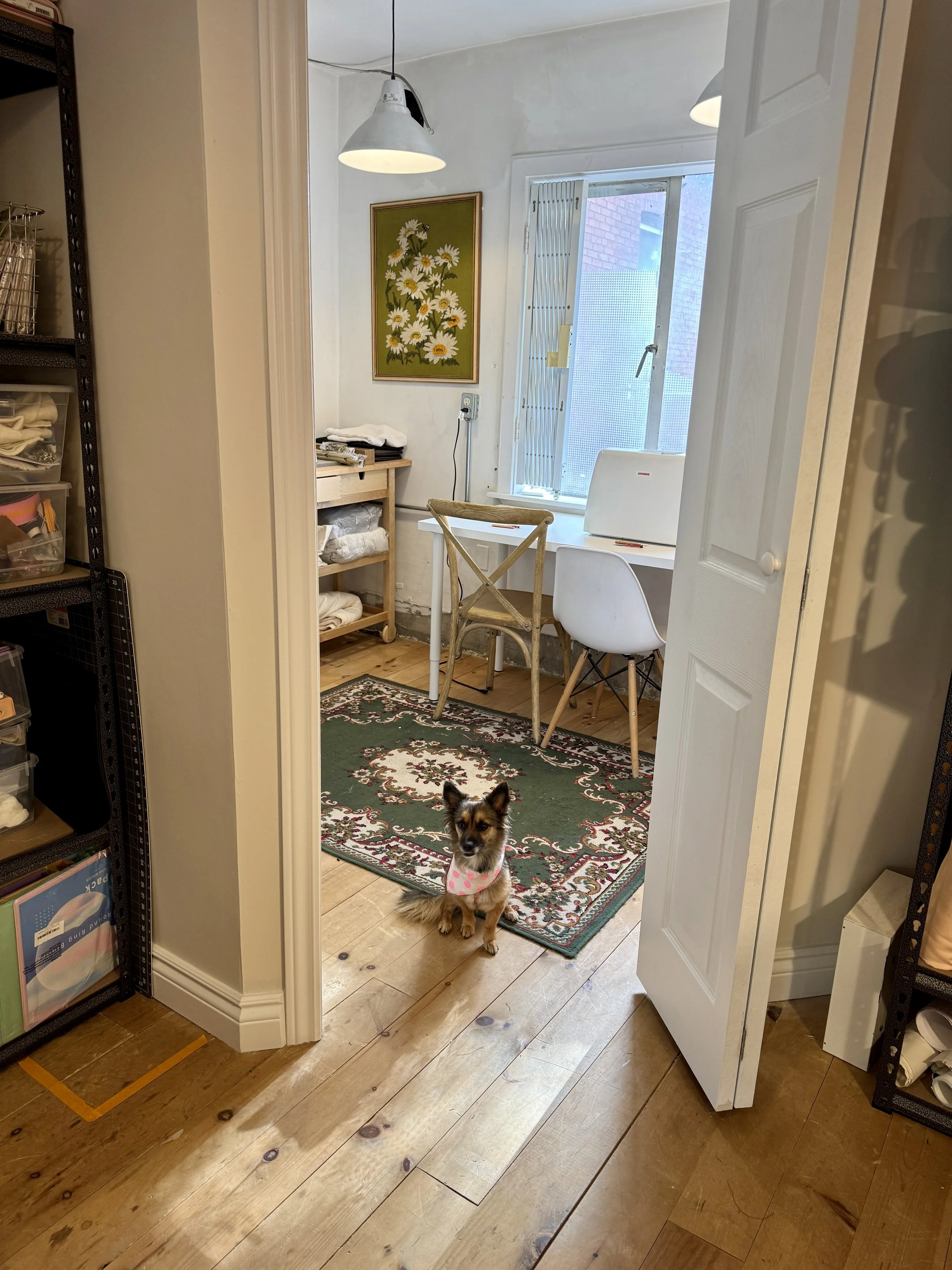 Top 5 Things That Have Been Keeping Us Busy! 