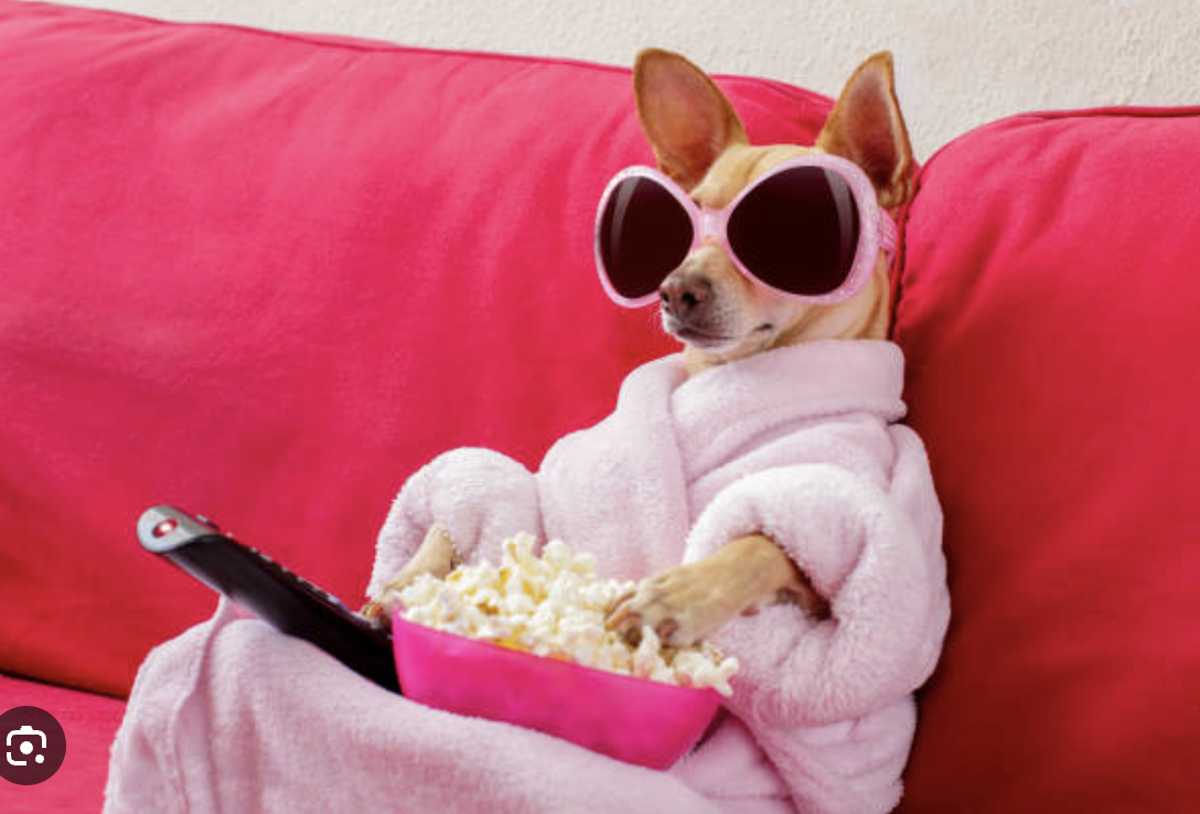 Top 5 Valentines Treats For Yourself