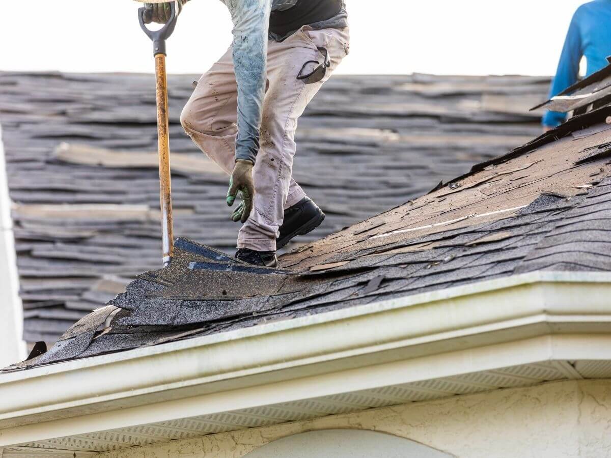 Asphalt Shingle Roof Removal