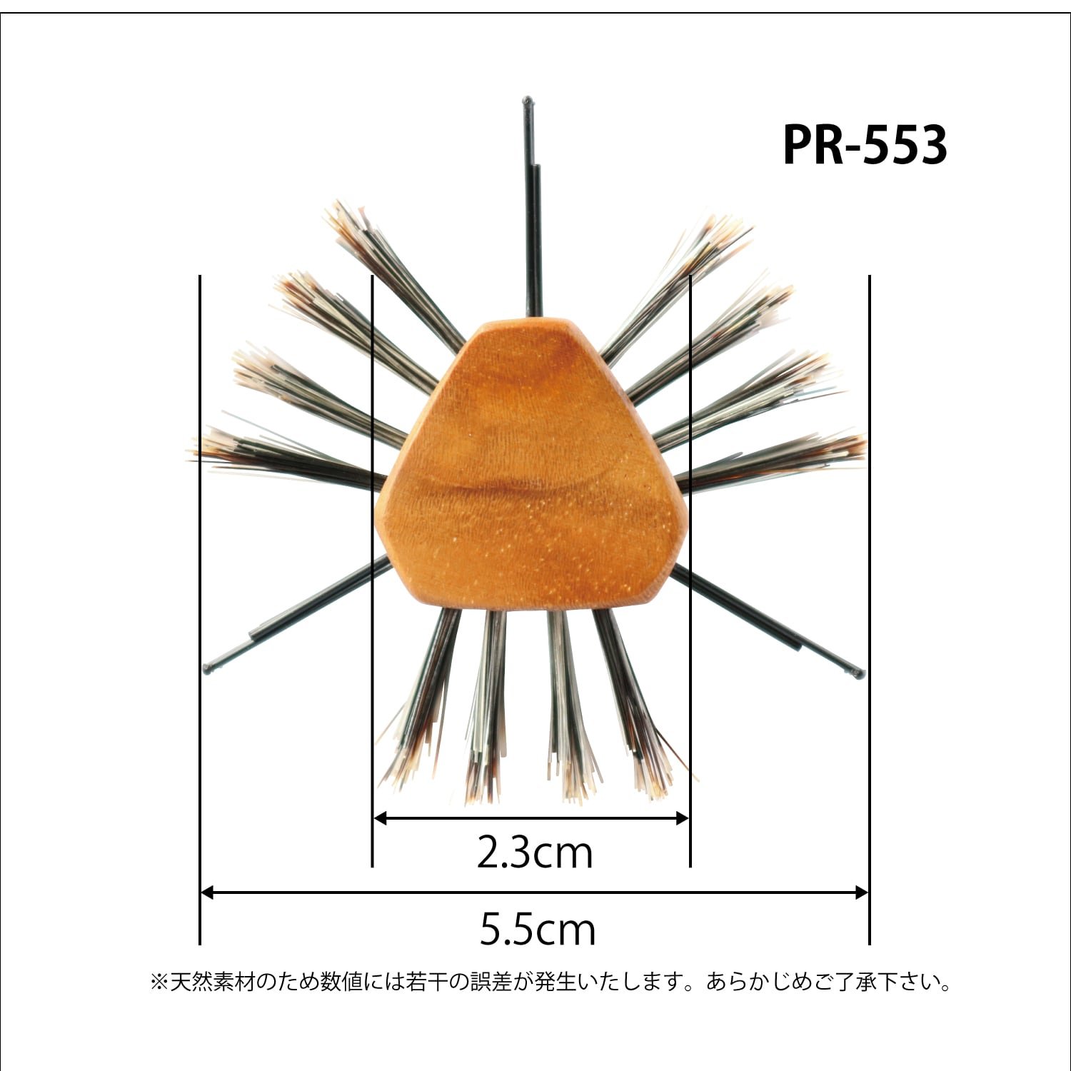 PR 553 4.jpeg
