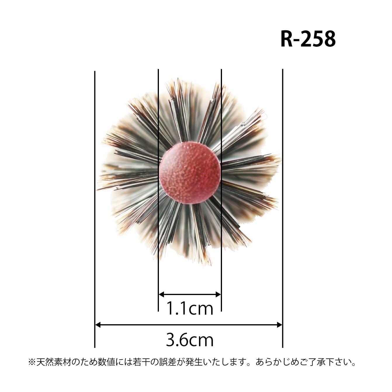 R 258 4.jpeg