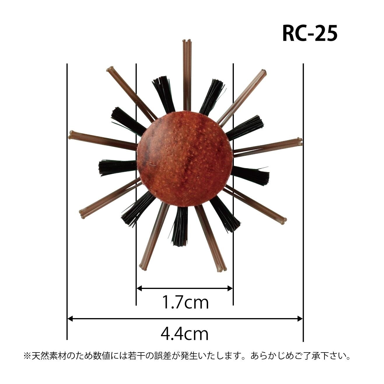 RC 25 4.jpeg