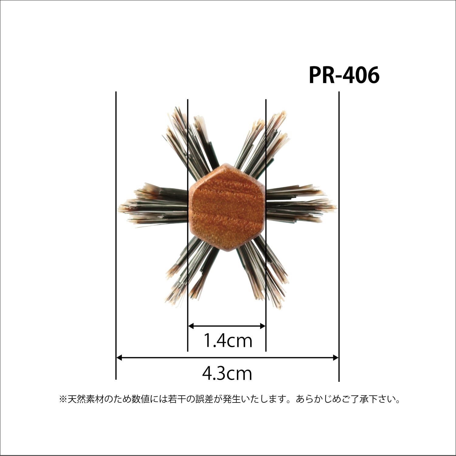 PR 406 4.jpeg