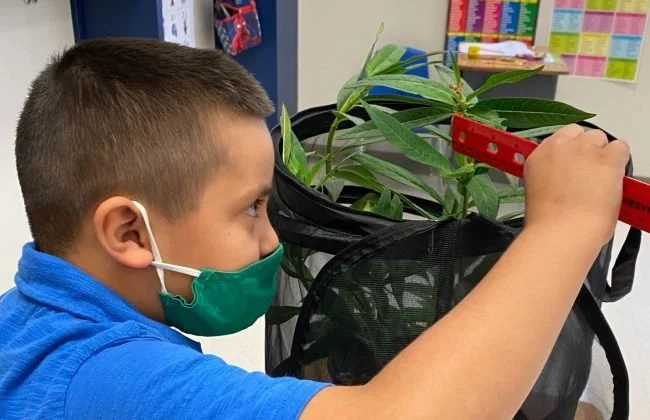 catcondos science.jpeg