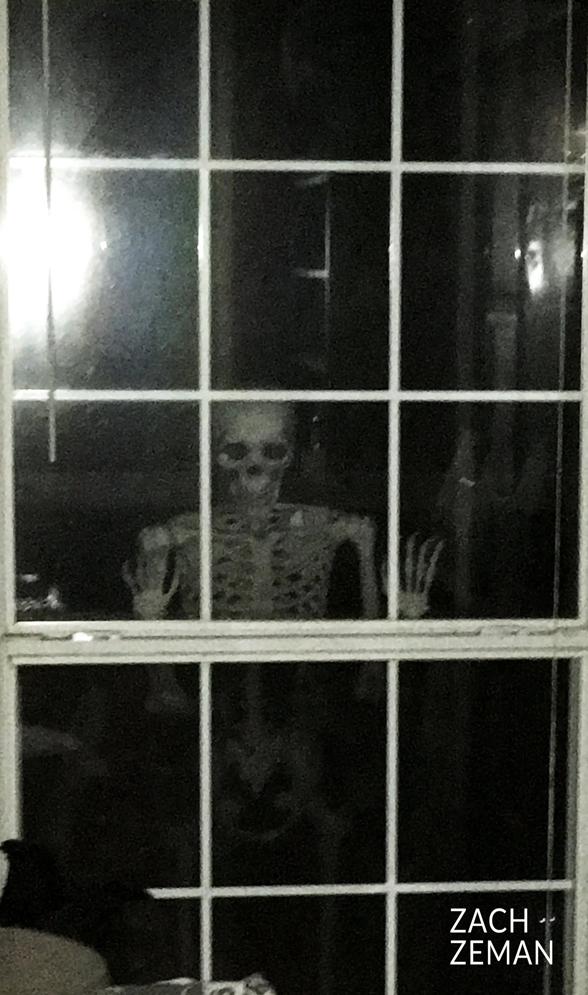 "Skeletal's Cousin Tom"