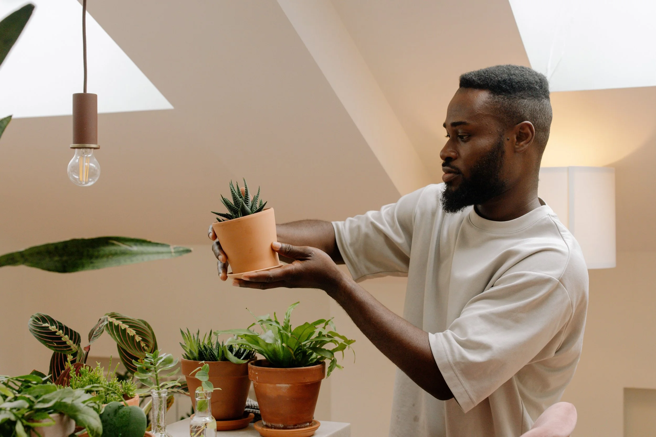 A man with a beard and short hair holding a potted succulent plant in a terracotta pot, standing in front of a table with various other potted plants in an indoor setting.