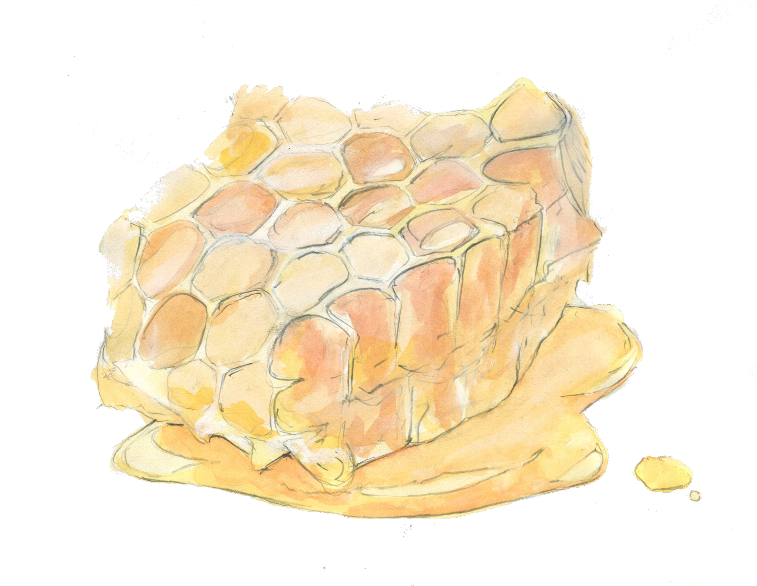 Honeycomb.png