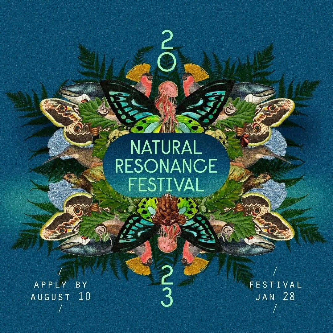 naturalresonancefestival_1660809428_2907402671564551752_49152228559 (1).jpg
