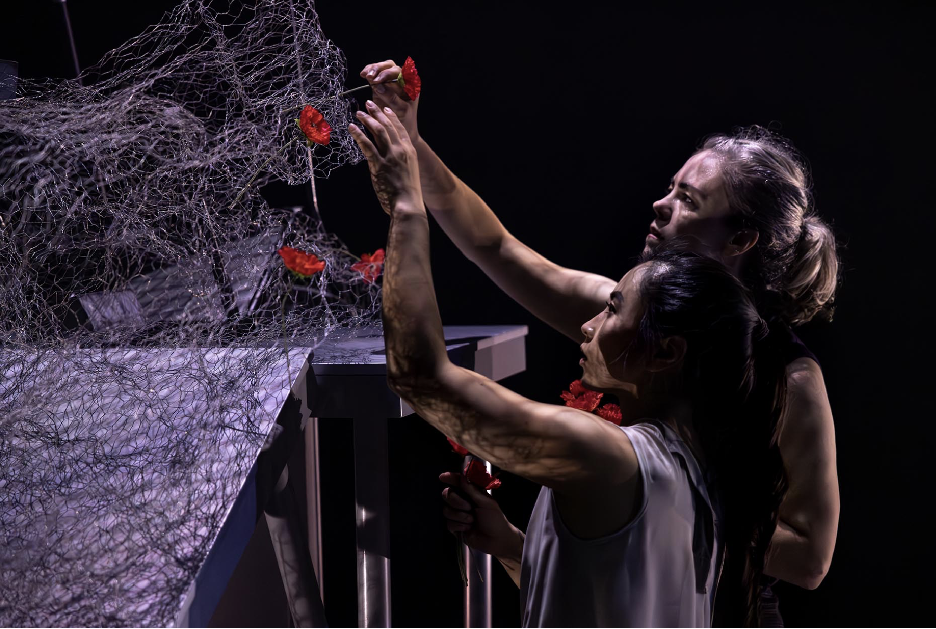 Two women with braided hair and wearing white tops are reaching out and holding red flowers near a wire sculpture. The sculpture appears intricate and is illuminated, contrasting with a dark background.