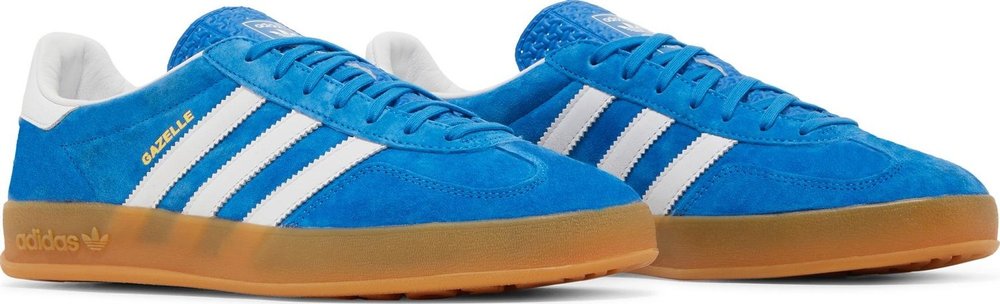 2022 Gazelle Indoor 'Blue Bird Gum'