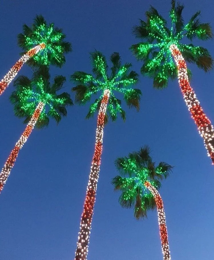 Merry Christmas to all. Whether alone or with loved ones, I hope you look back at how blessed you are in ways you may have missed. 🎄🩷