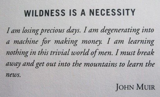 I hope everyone is using this downtime in ways that are good for the soul 🫀
#thetidalist #quoteswelove #johnmuir #poetry #wordsofwisdom thetidalistquotes