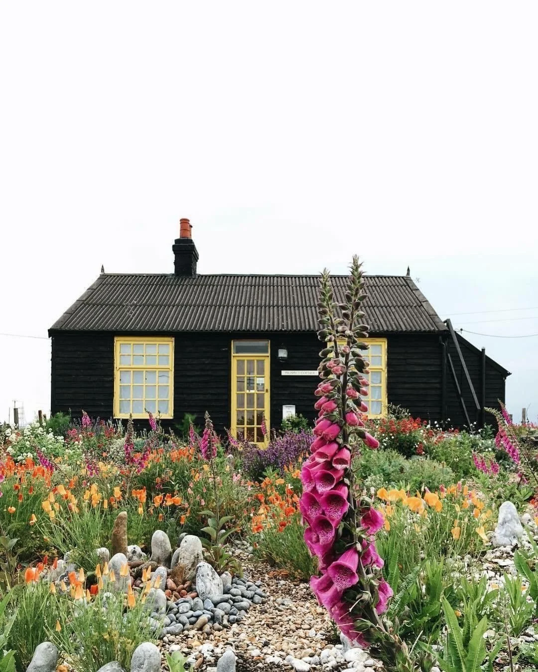 🏠 Prospect Cottage is a house on the coast in Dungeness, Kent. Originally a Victorian fisherman&rsquo;s hut, the house was purchased by director and artist Derek Jarman in 1987, and was his home until his death in 1994 
#thetidalist #derekjarman #pr