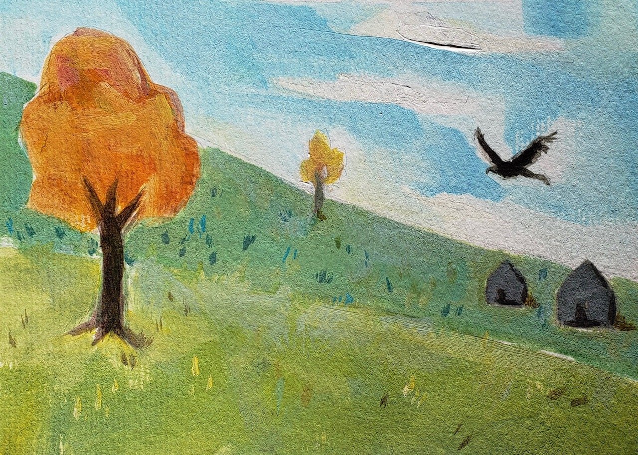 Finding Hawk Parallax: My Son & The Birds