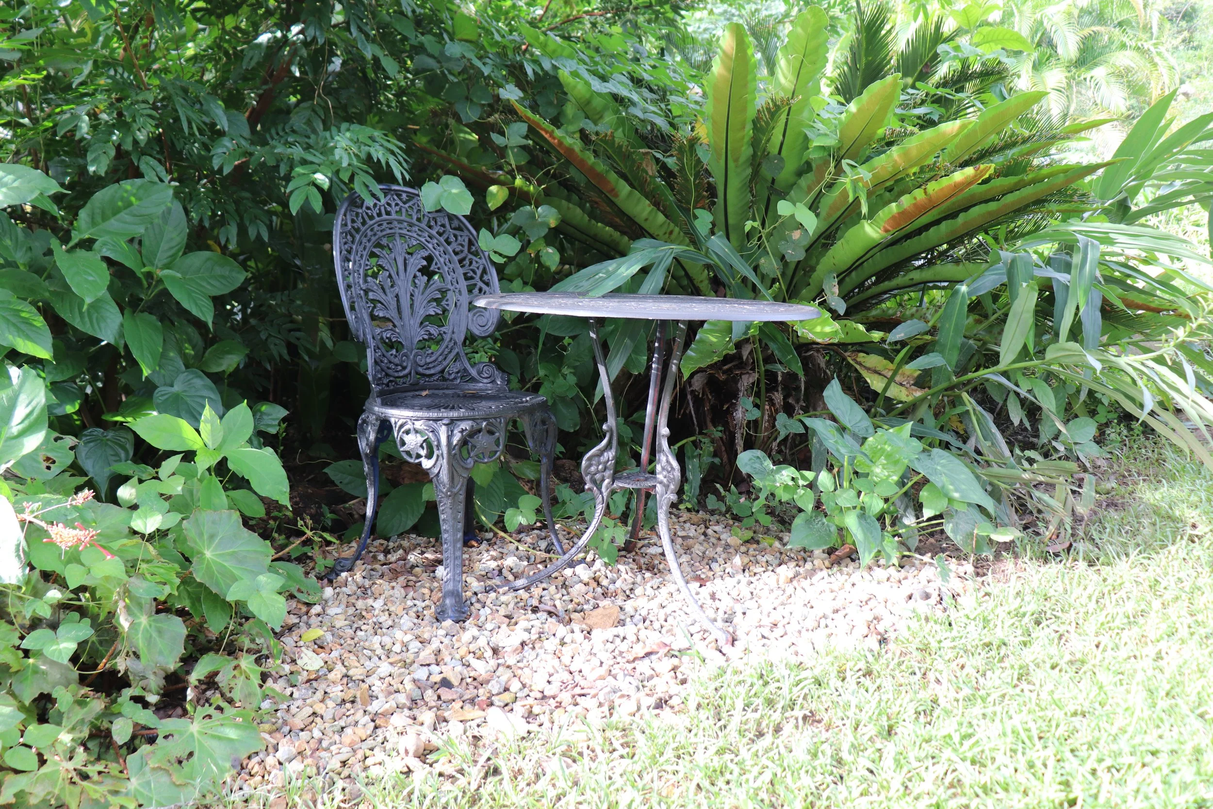 Black ornate metal garden chair and round table on gravel surrounded by lush green tropical plants. Rise Temple Wellness Retreat Centre Byron Bay Grounds.