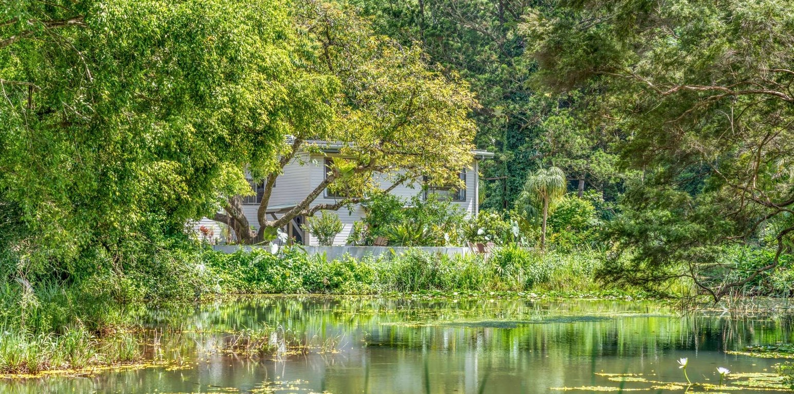 Rise Temple Retreat Centre grounds visible behind lush green trees and bushes by a pond with floating water lilies.