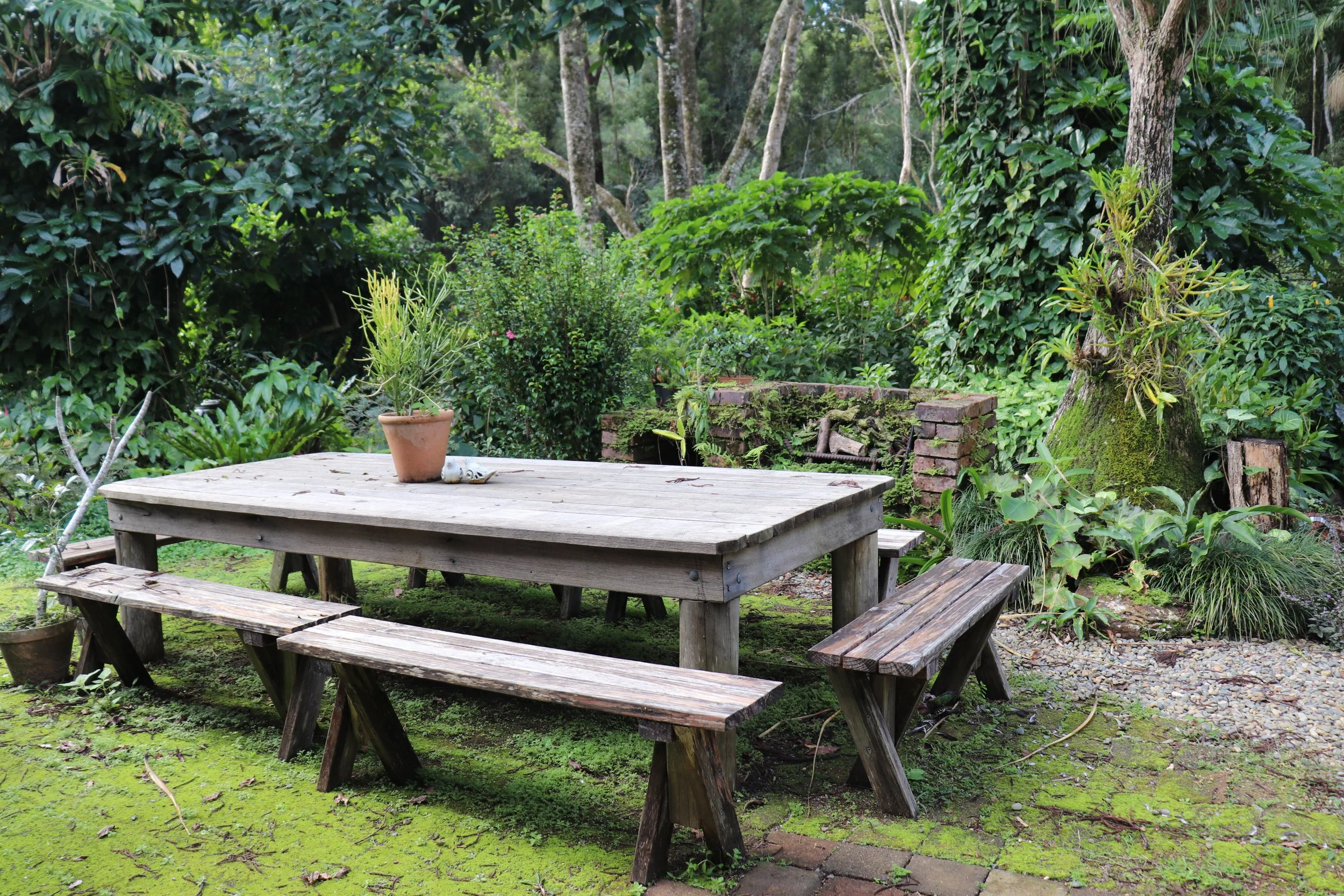 Outdoor wooden table with two benches in a lush green garden, surrounded by various plants and trees. Rise Temple Wellness Retreat Centre Byron Bay Grounds.
