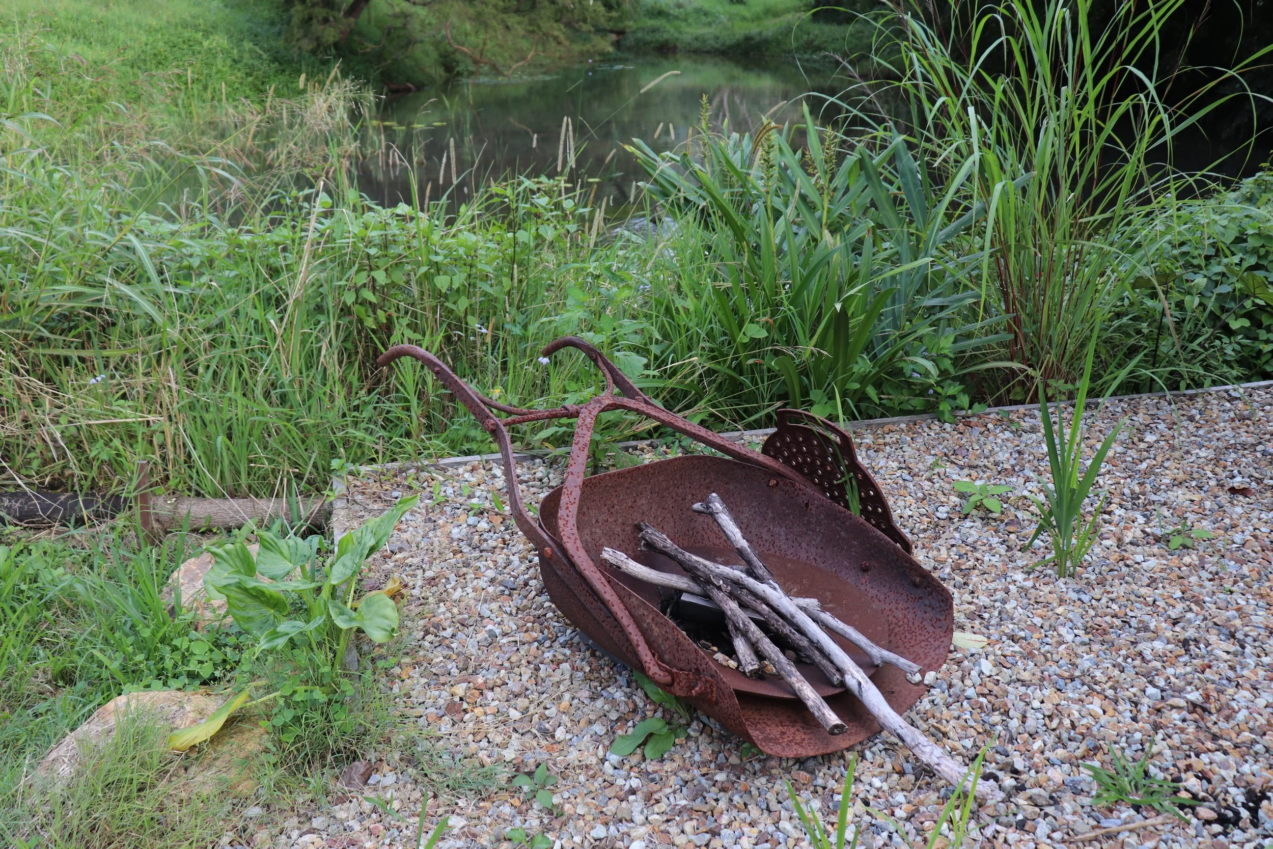 An old rusty wheelbarrow filled with small sticks on a gravel path beside a pond with lush green vegetation. Rise Temple Wellness Retreat Centre Byron Bay Grounds.