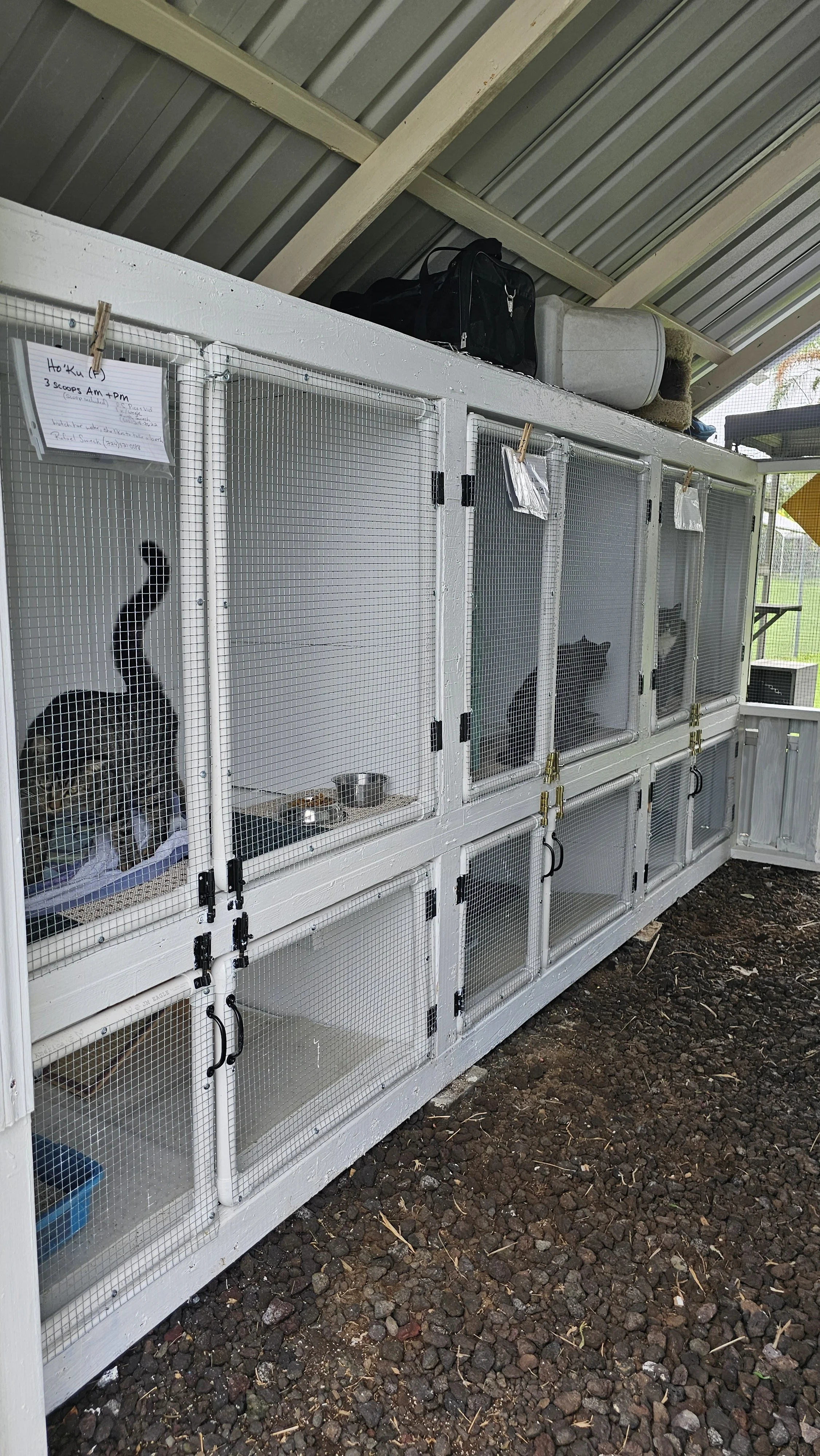 20251027_120740 (1).jpg